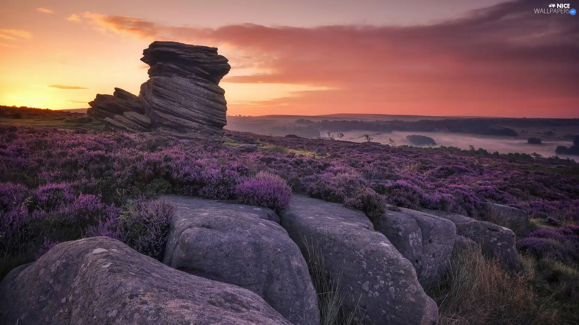 heather, Great Sunsets, rocks, heath, Stones