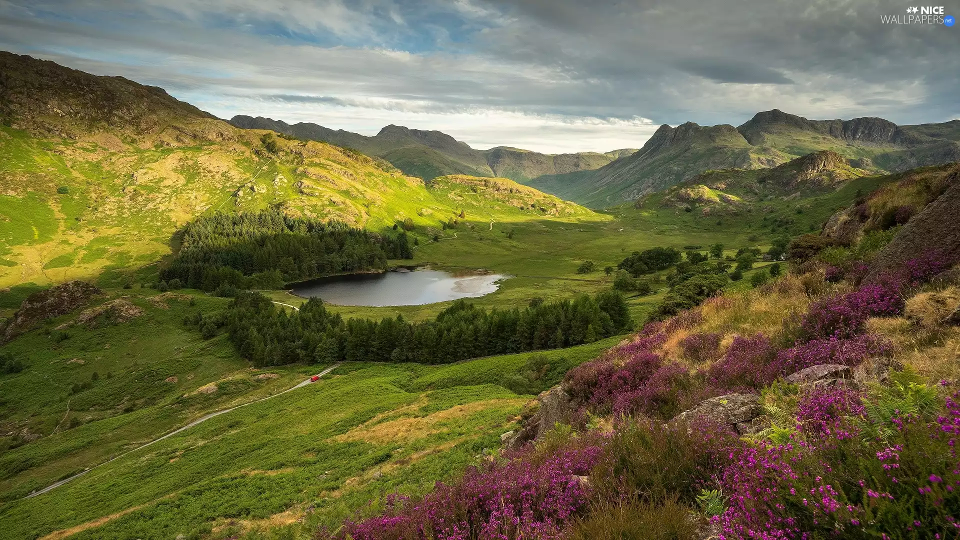 lake, Mountains, Way, heathers, forest, Valley