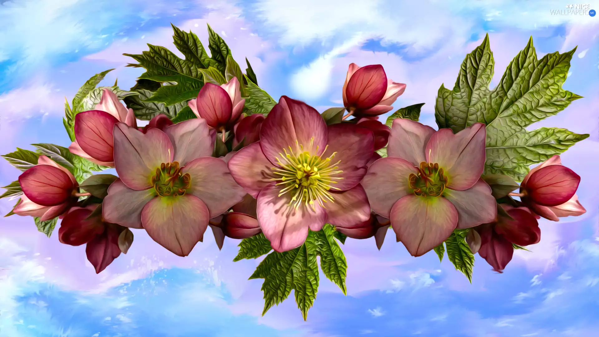 Flowers, leaves, graphics, Helleborus
