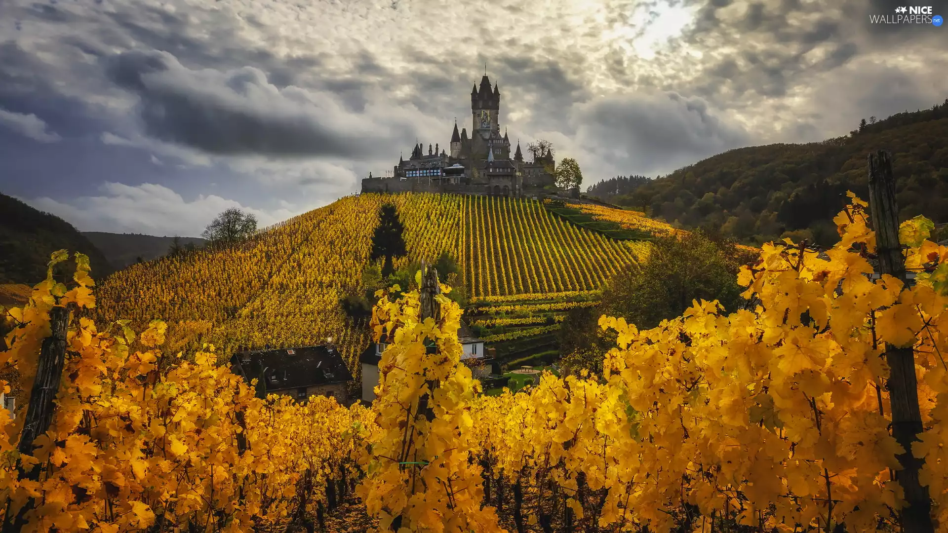 Reichsburg Castle, autumn, Cochem Municipality, Germany, plantation, Hill