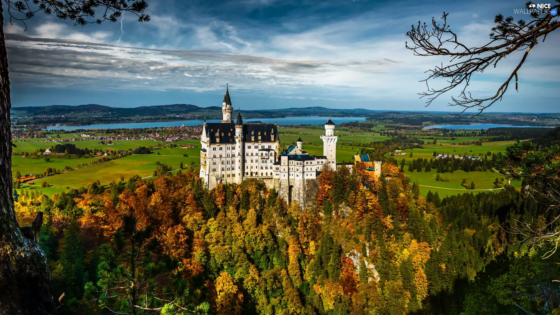 Hill, autumn, woods, Neuschwanstein Castle, Bavaria, Germany, viewes, field, trees