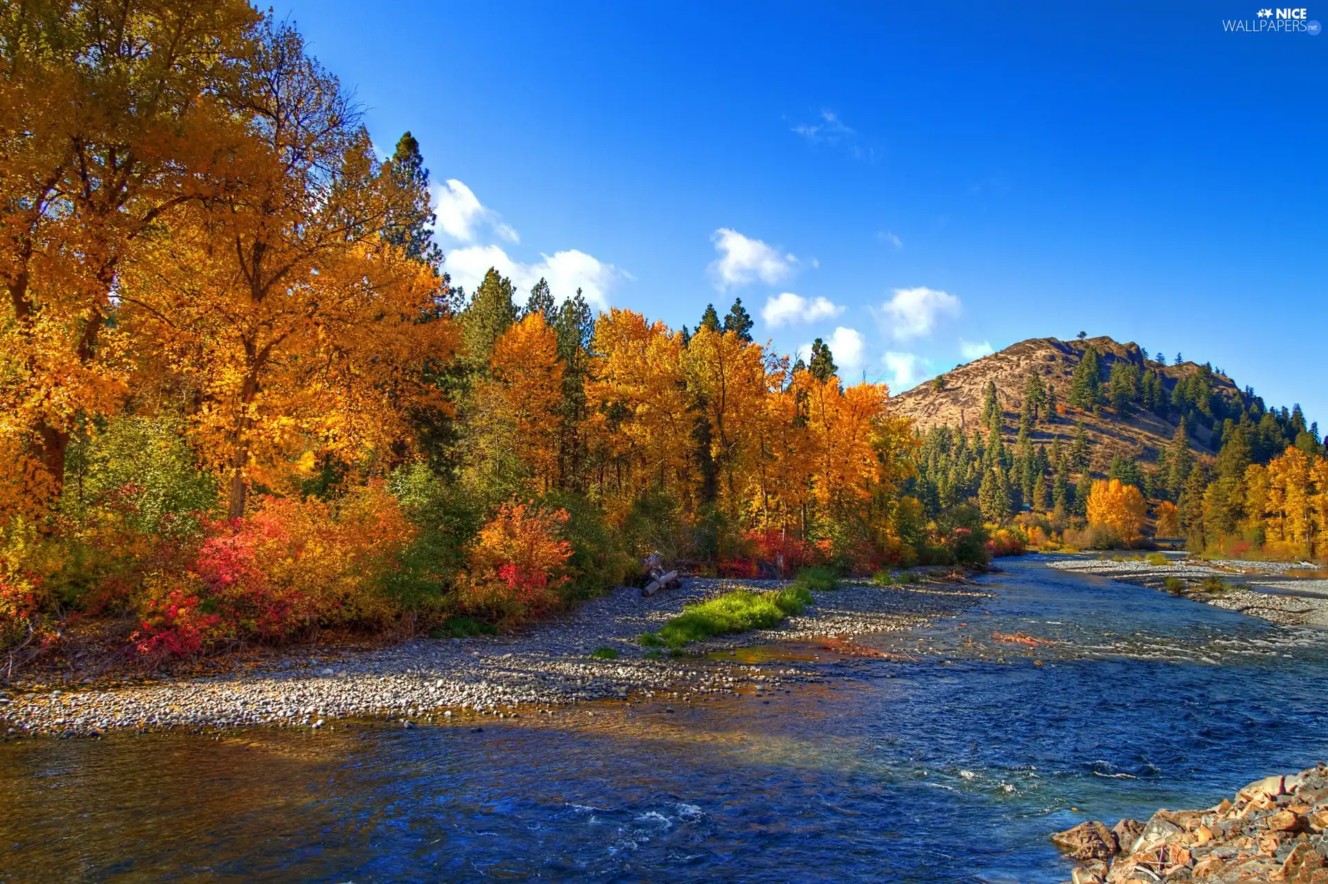 Hill, autumn, River