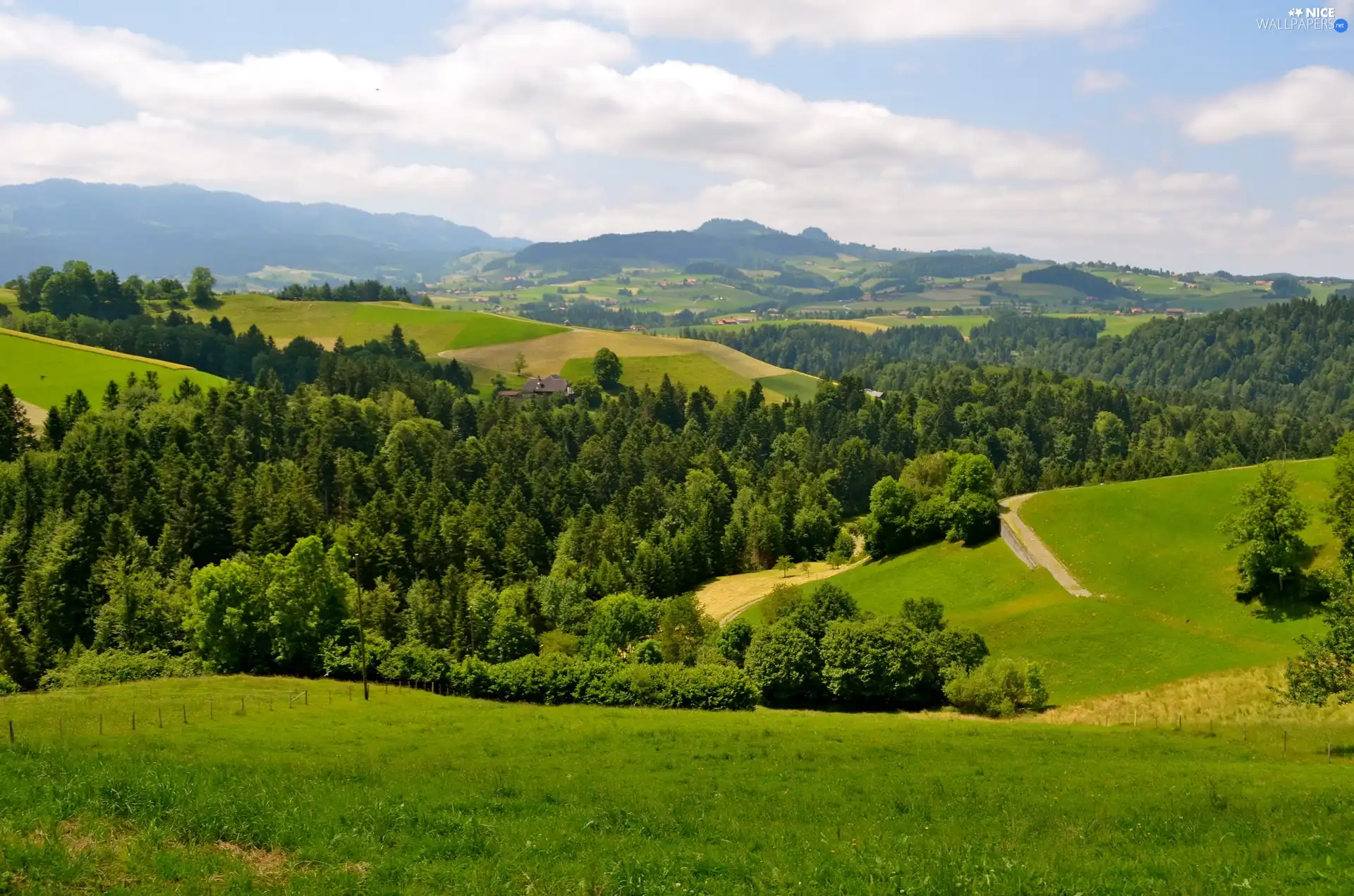 hills, Meadow, forest