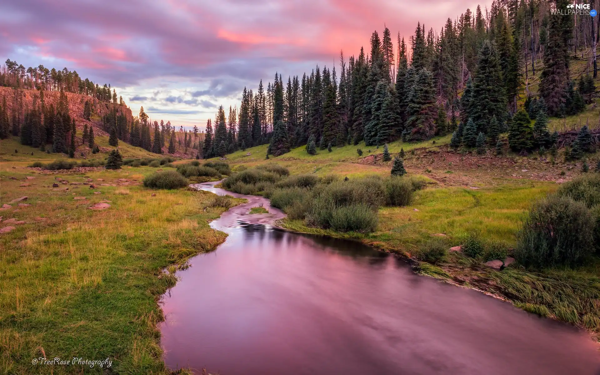 River, Great Sunsets, viewes, Bush, trees, The Hills