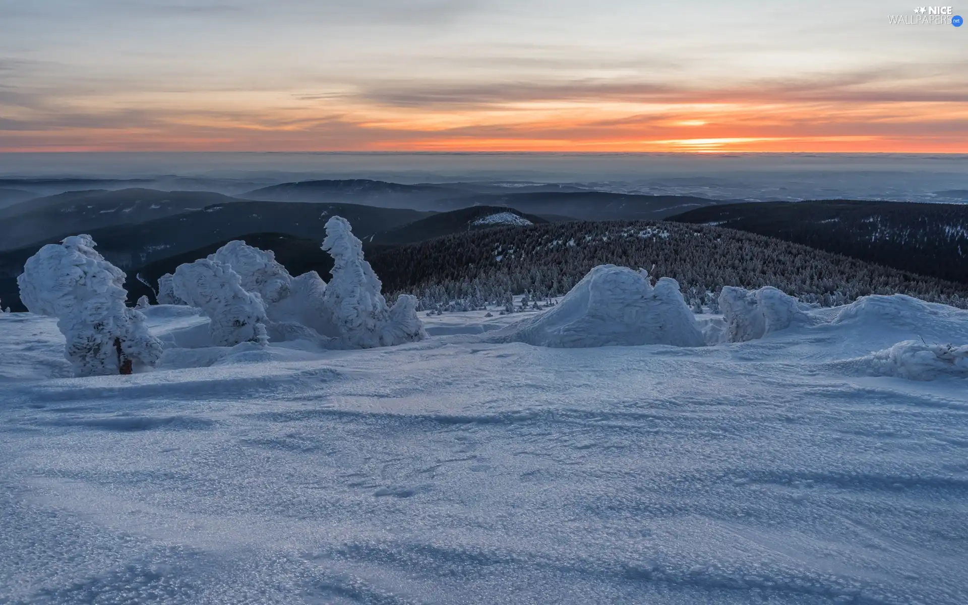 Snowy, winter, viewes, Great Sunsets, trees, The Hills