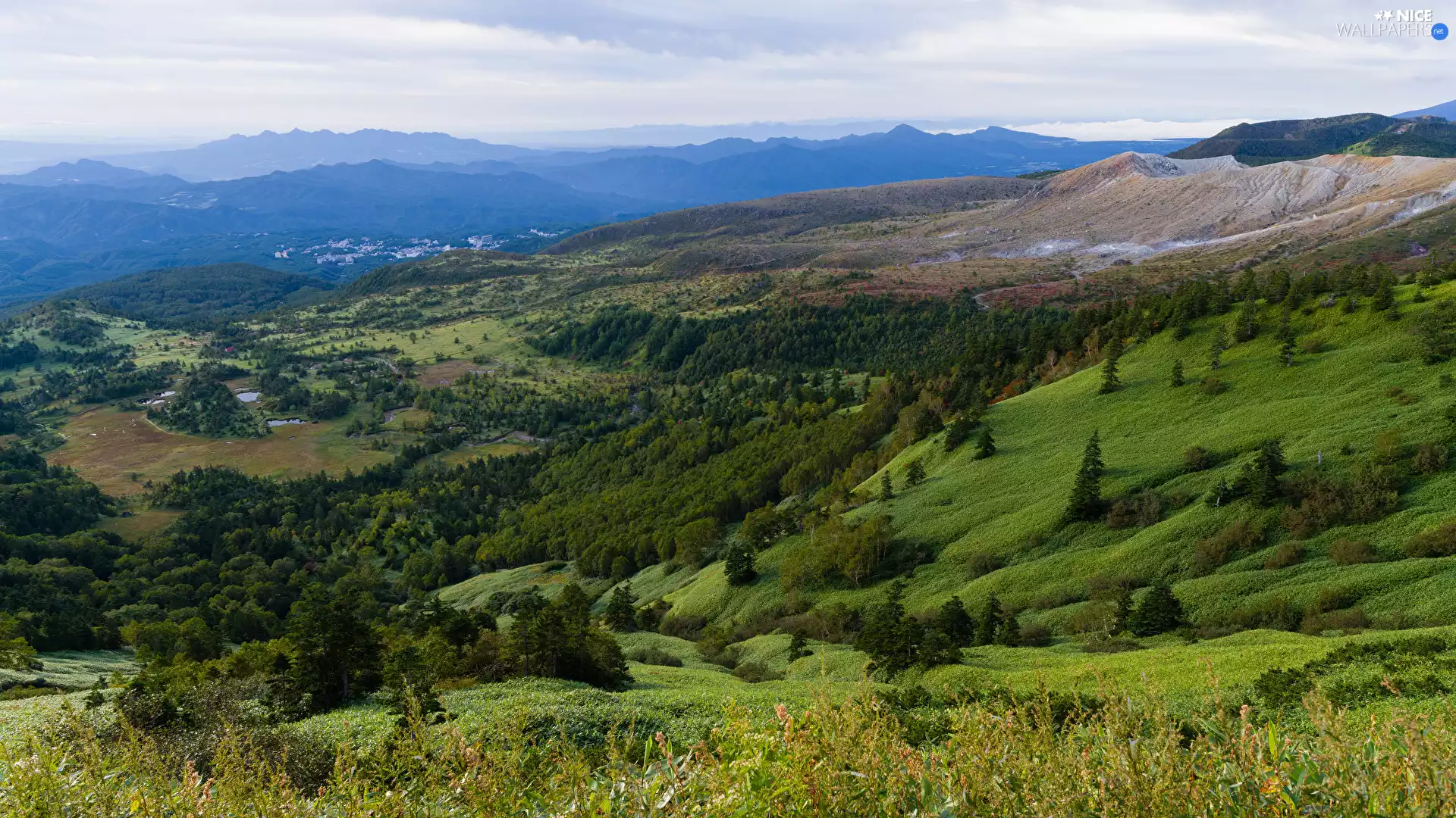 The Hills, woods, medows, Mountains