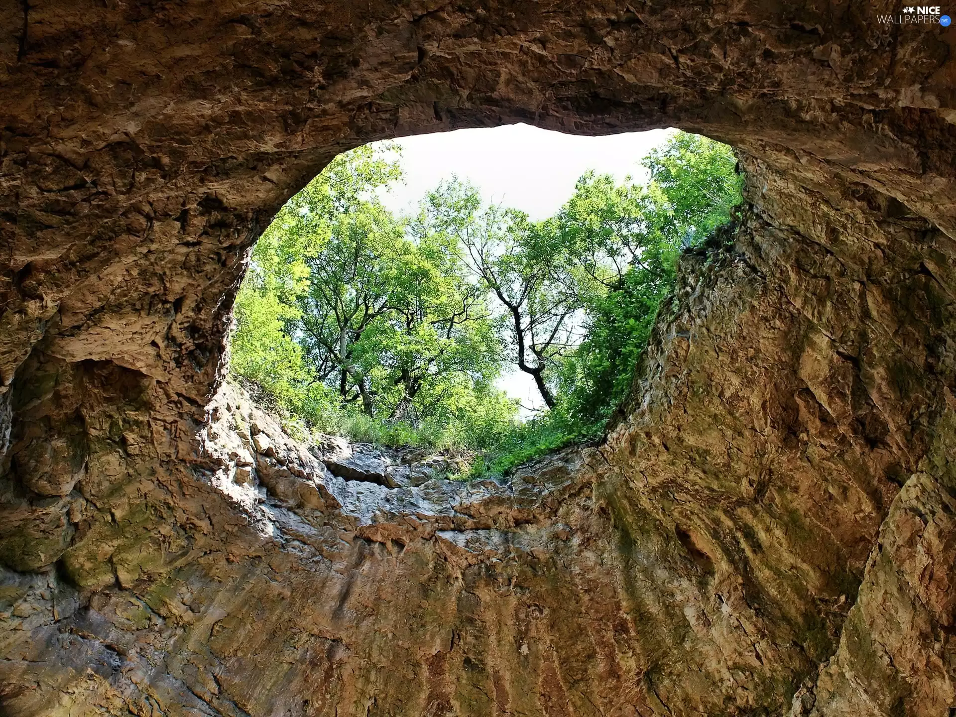 cave, trees, viewes, hole