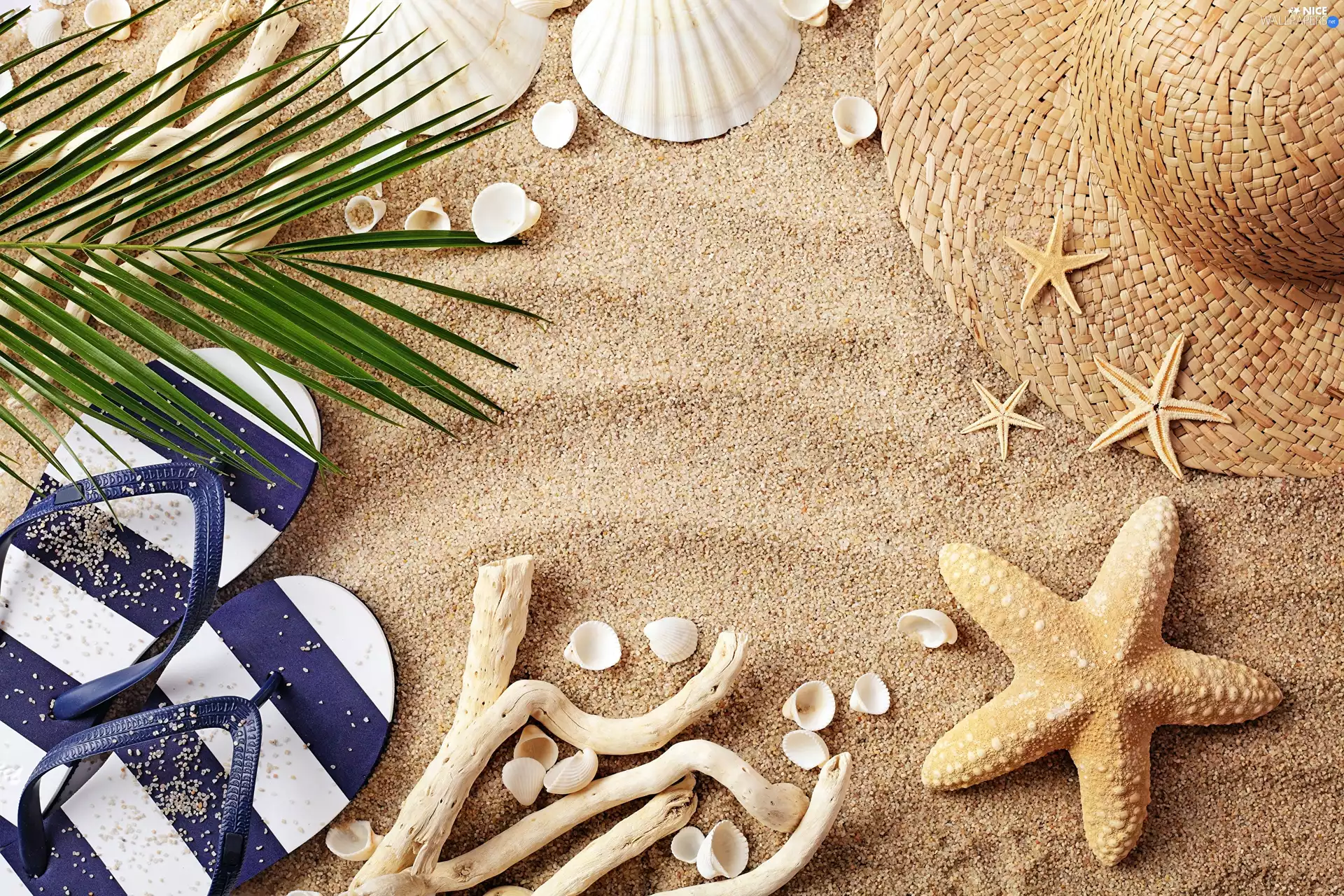 Sand, summer, Hat, holiday, composition, Flaps, Shells