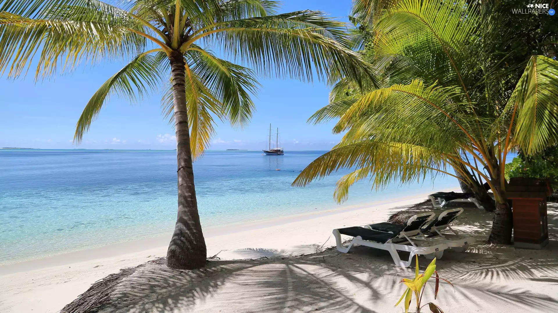 Palms, sea, Yacht, holiday, deck chair, Beaches