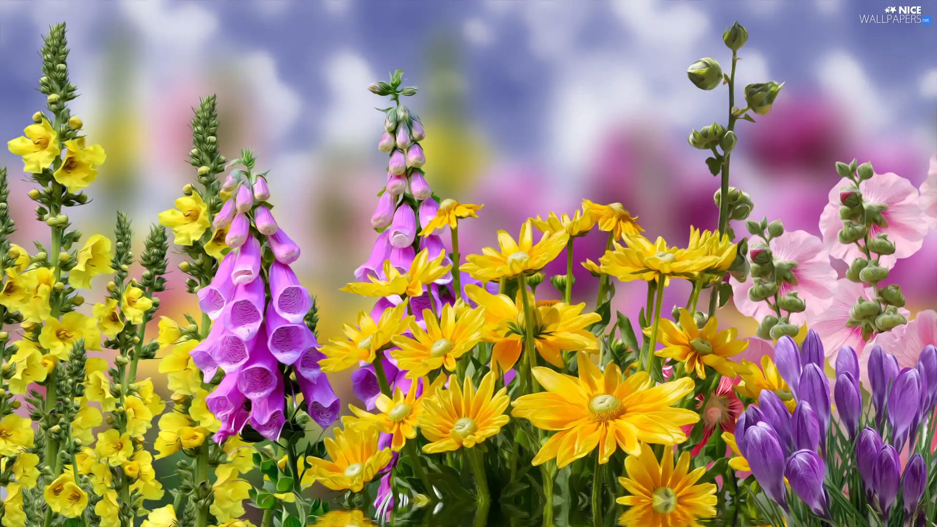 Flowers, foxglove, graphics, Hollyhocks