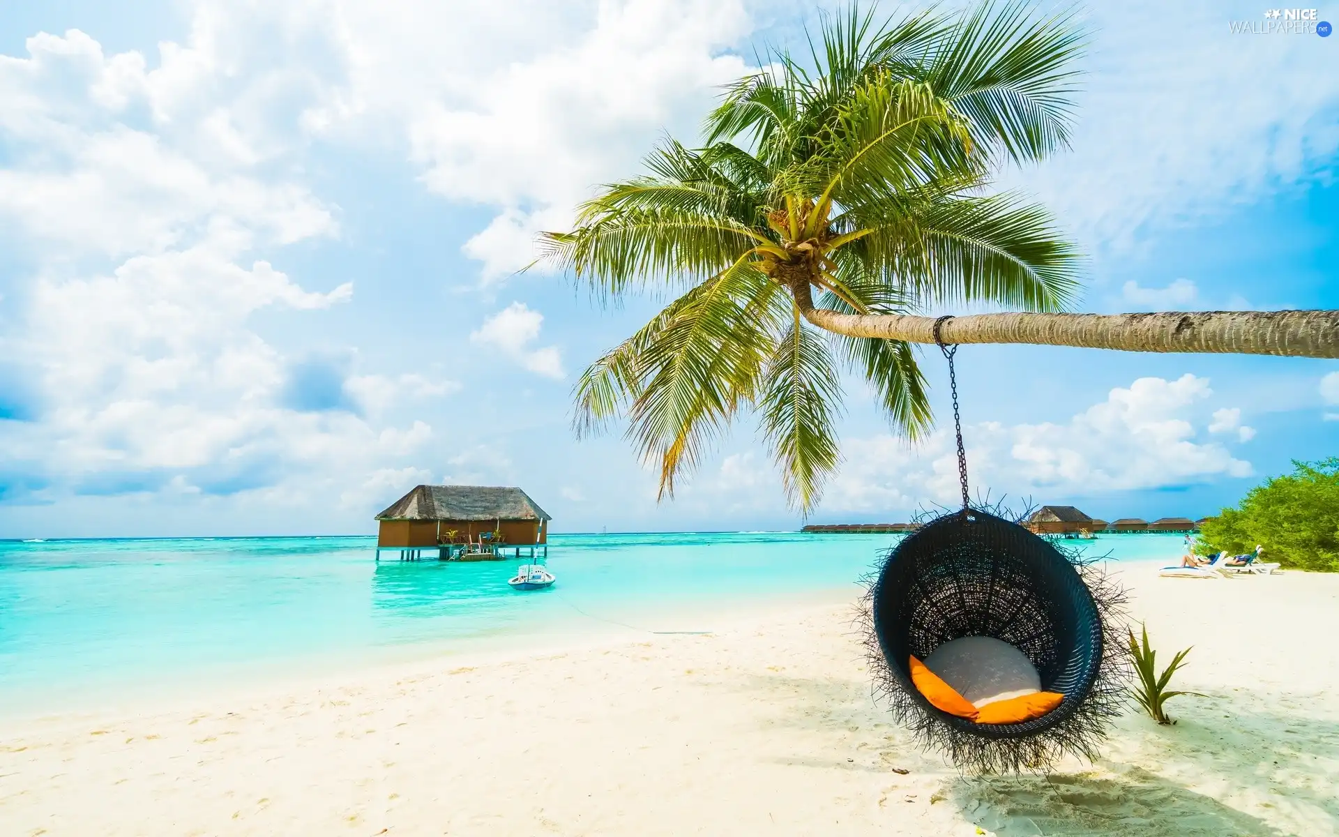Palm, sea, basket, Home, Beaches, Swing, holiday
