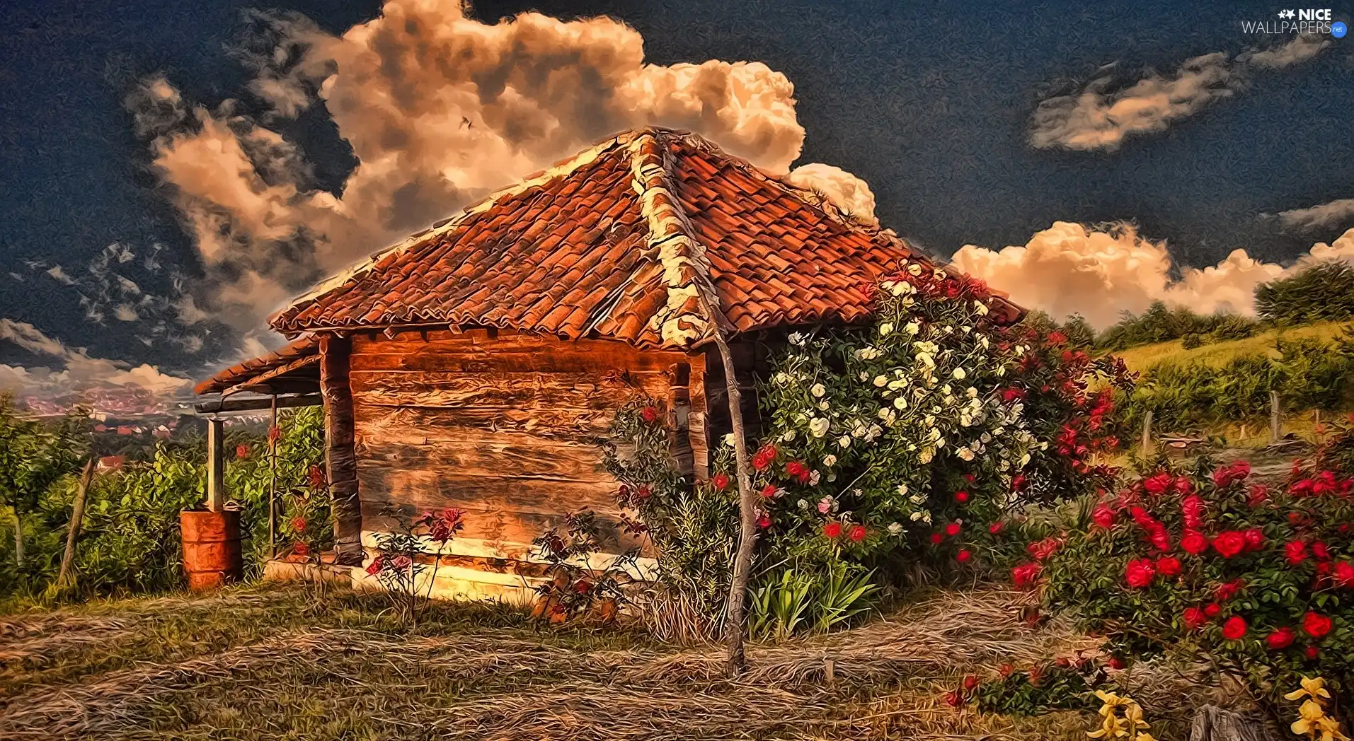Home, clouds, Flowers