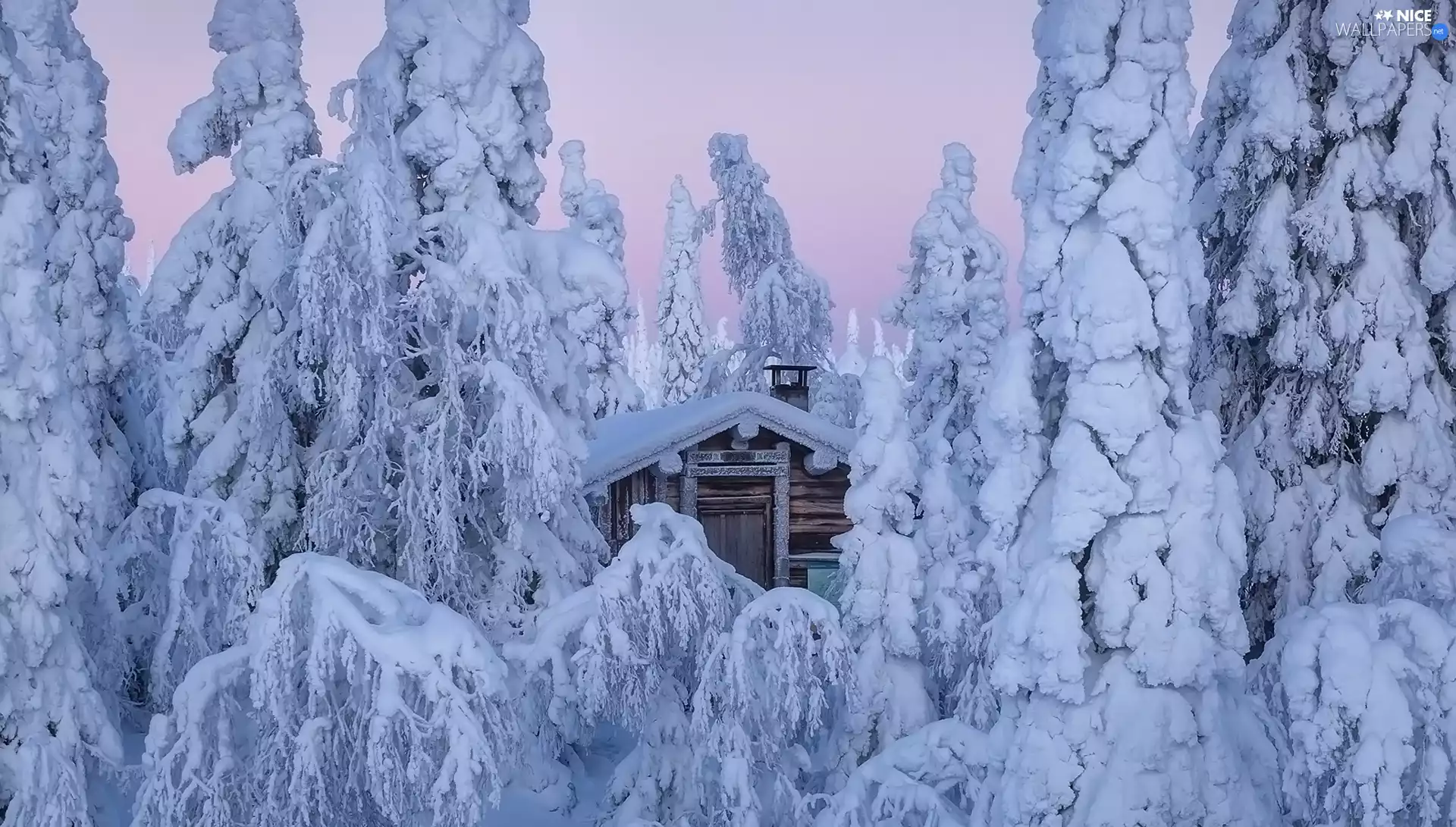 Snowy, winter, viewes, Home, trees, forest