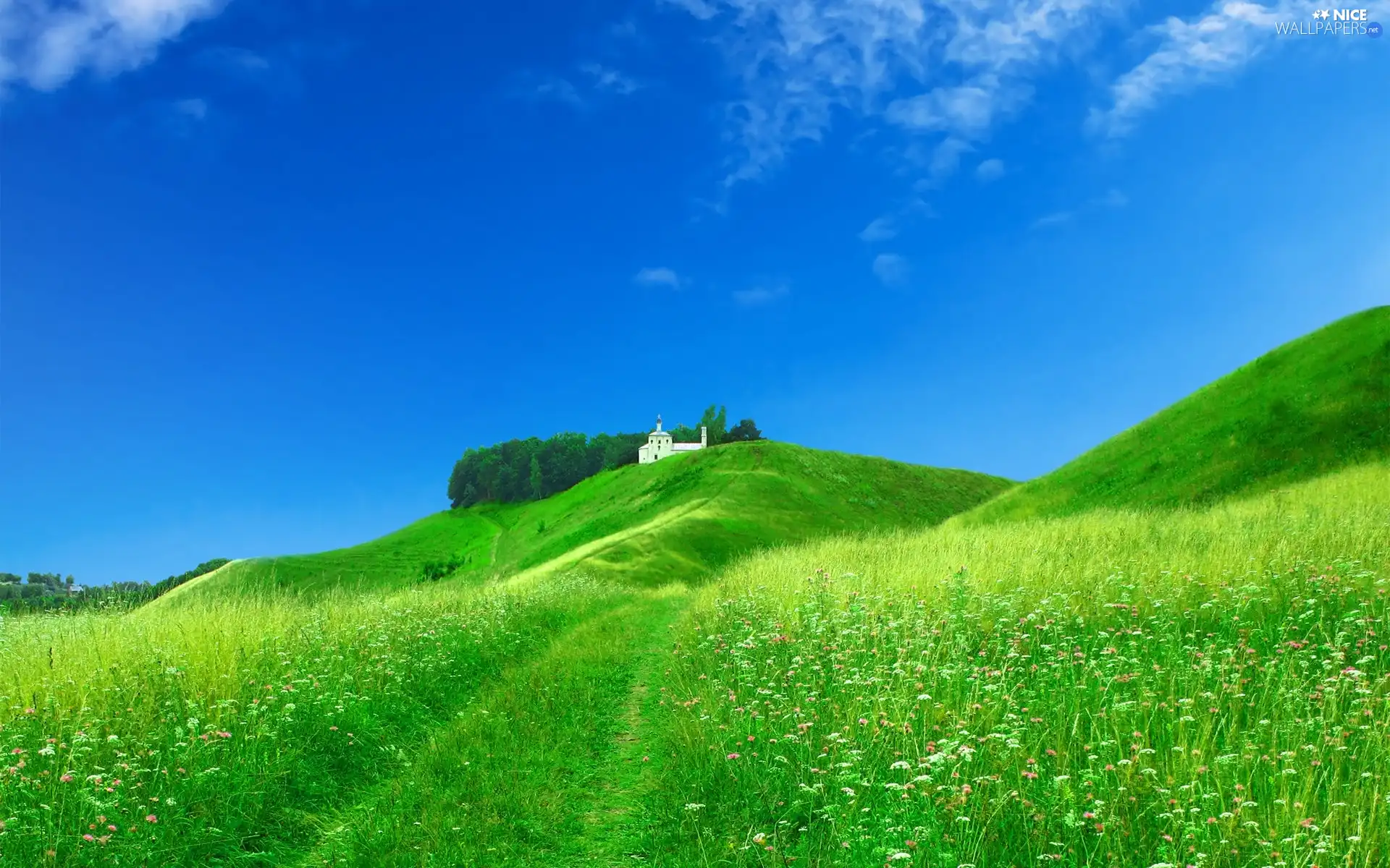 Field, Green, Home, Hill, White, grass