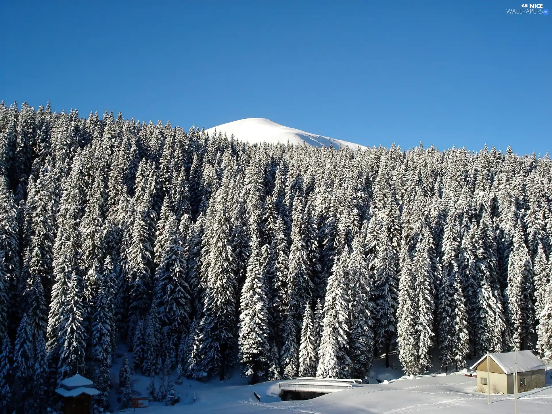 winter, forest, Home, Mountains