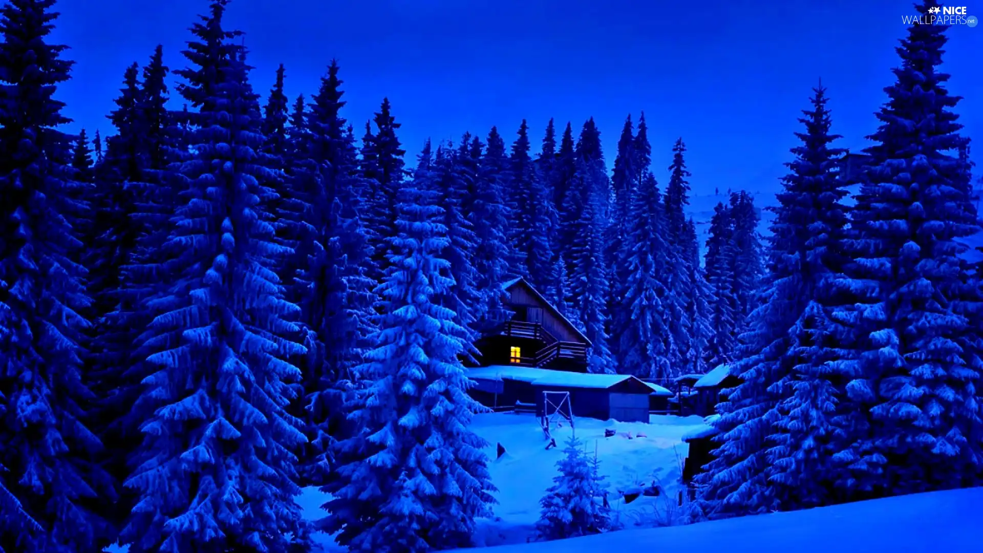 Home, forest, winter