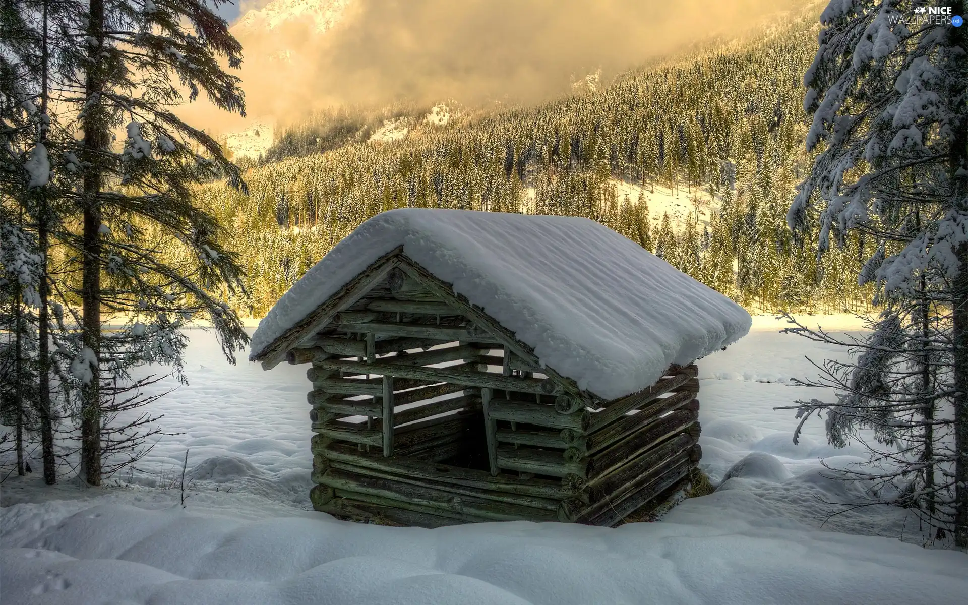 Home, winter, Fog, forest, Mountains