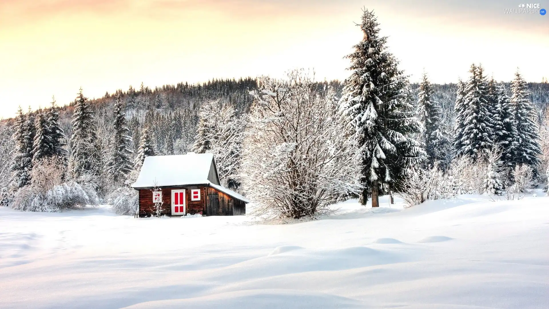 winter, wooden, Home, forest