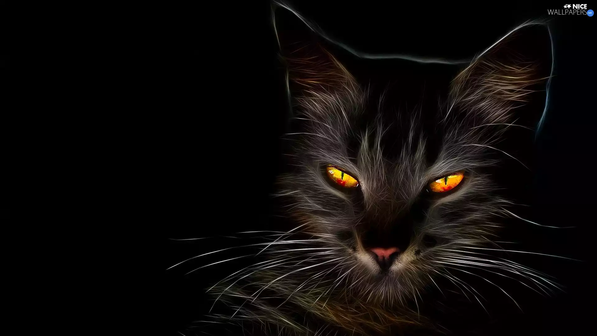 Eyes, muzzle, background, honey, cat, Black, Fractalius