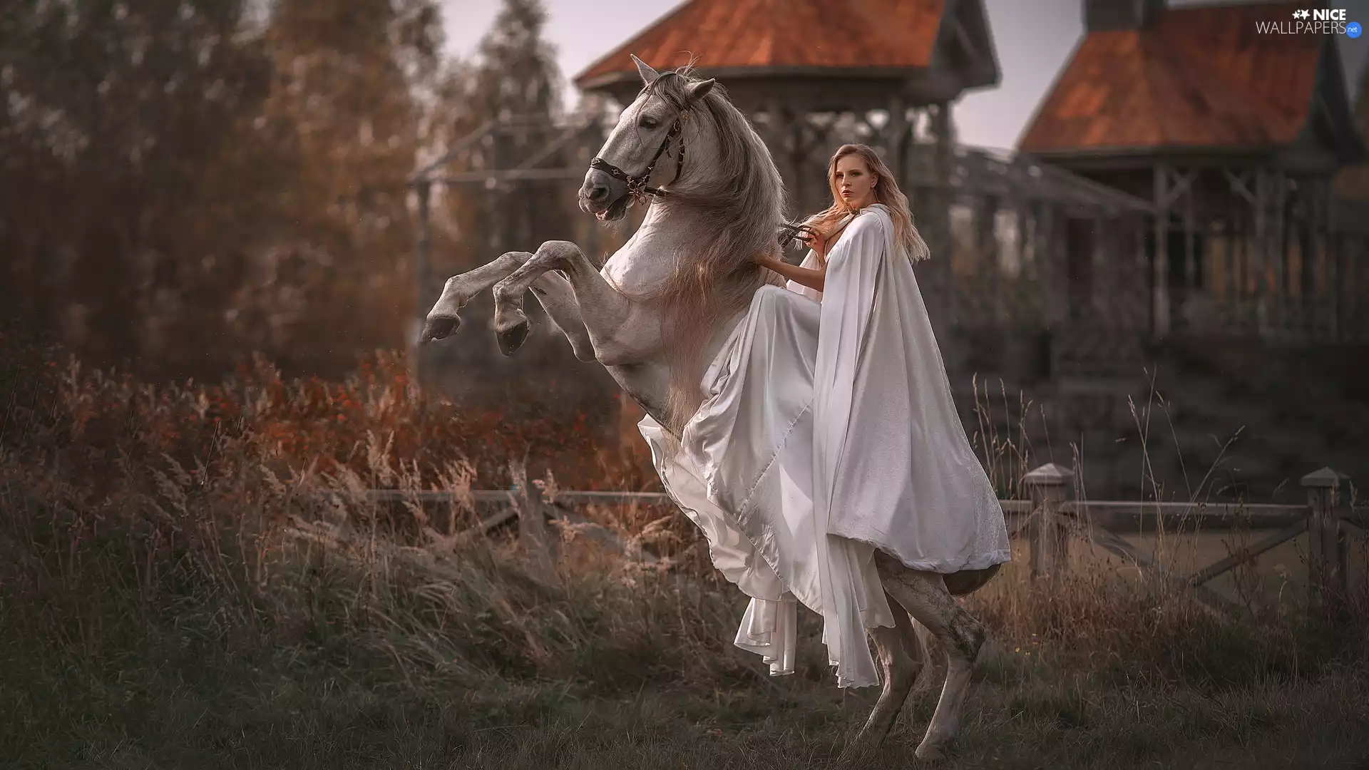 gray, Horse, Blonde, cape, Women