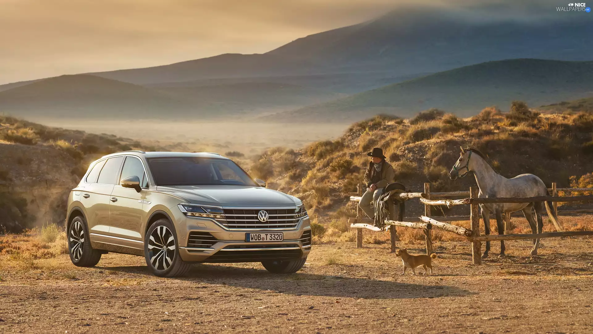 ranch, Volkswagen Touareg, Horse