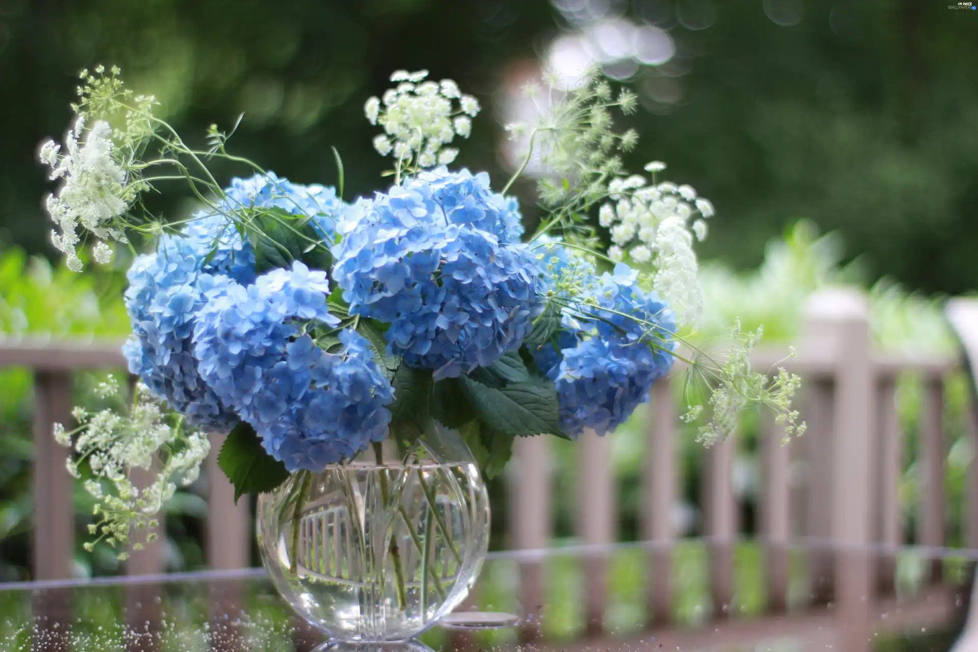 Hortense, bouquet, Blue