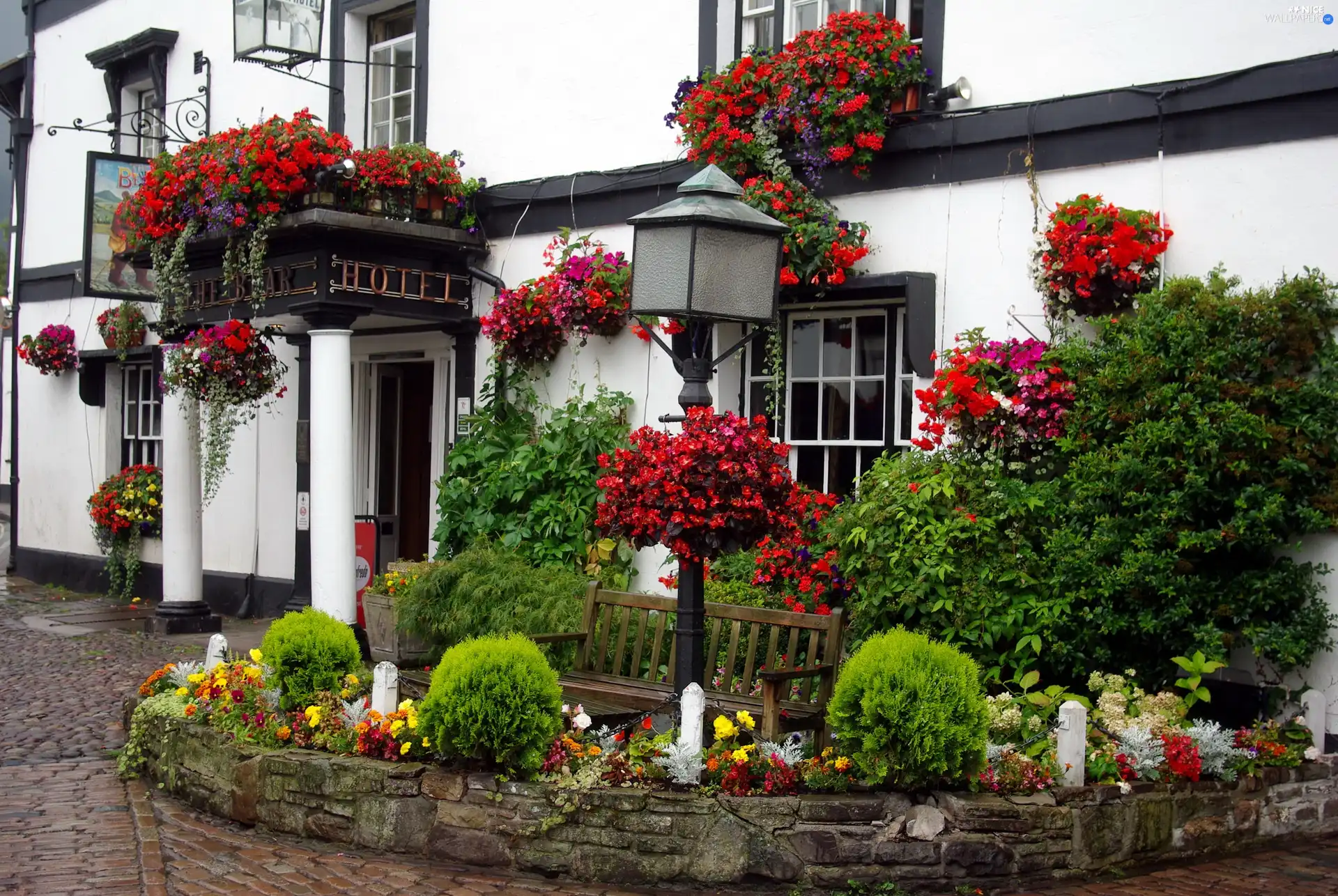 entry, Garden, Hotel hall