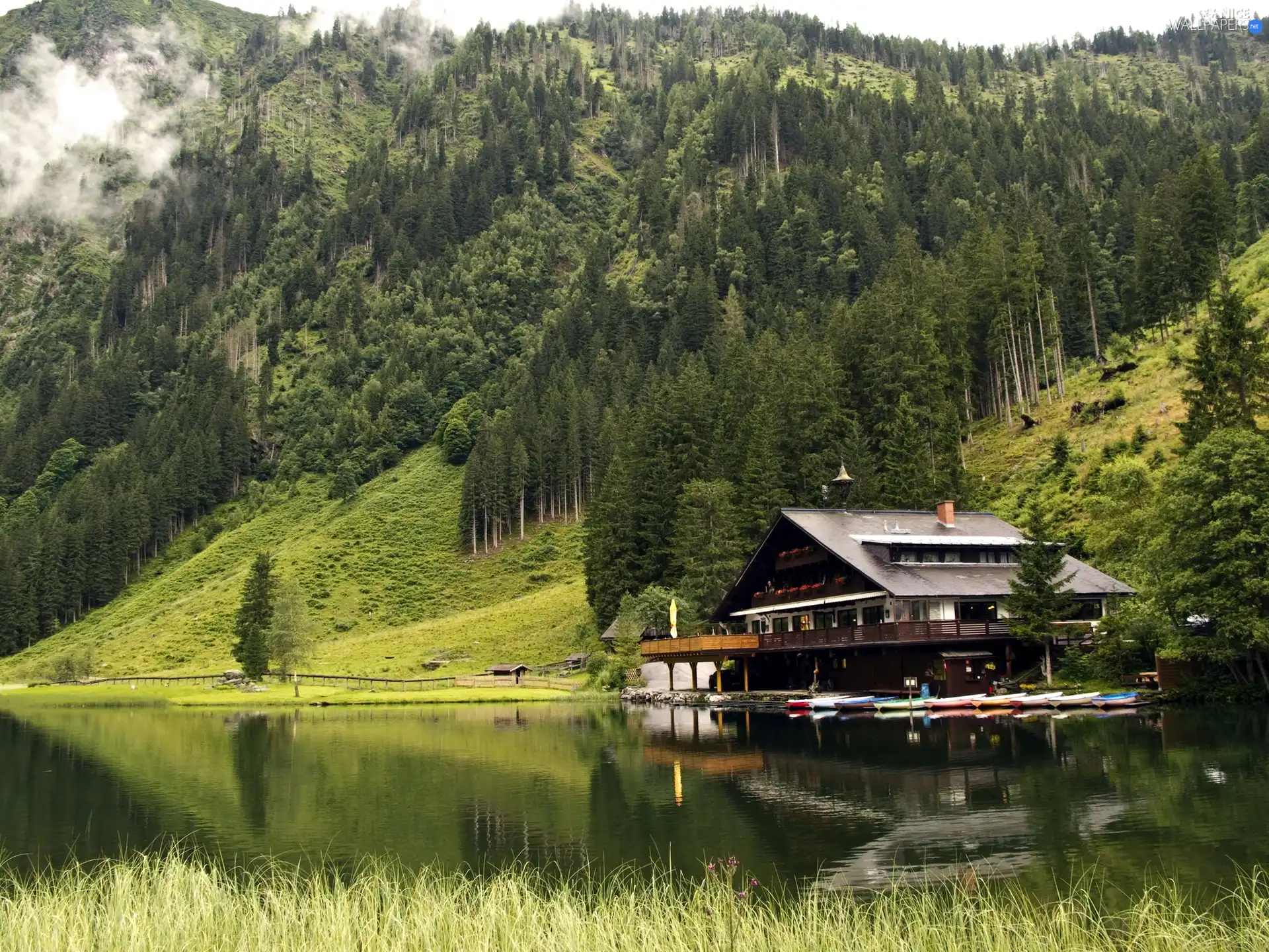 house, Fog, woods, River, Mountains