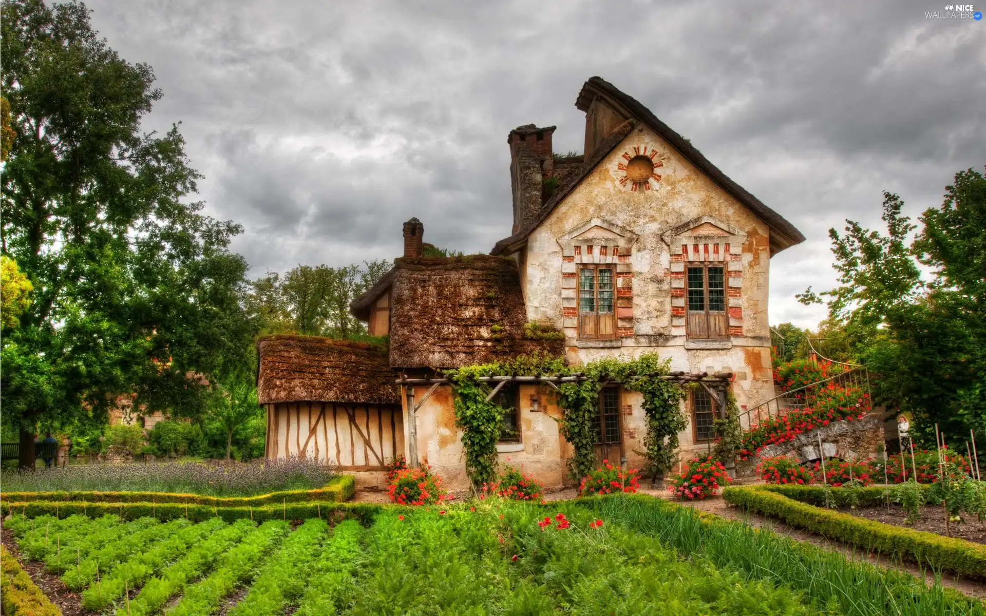 Garden, Old car, house