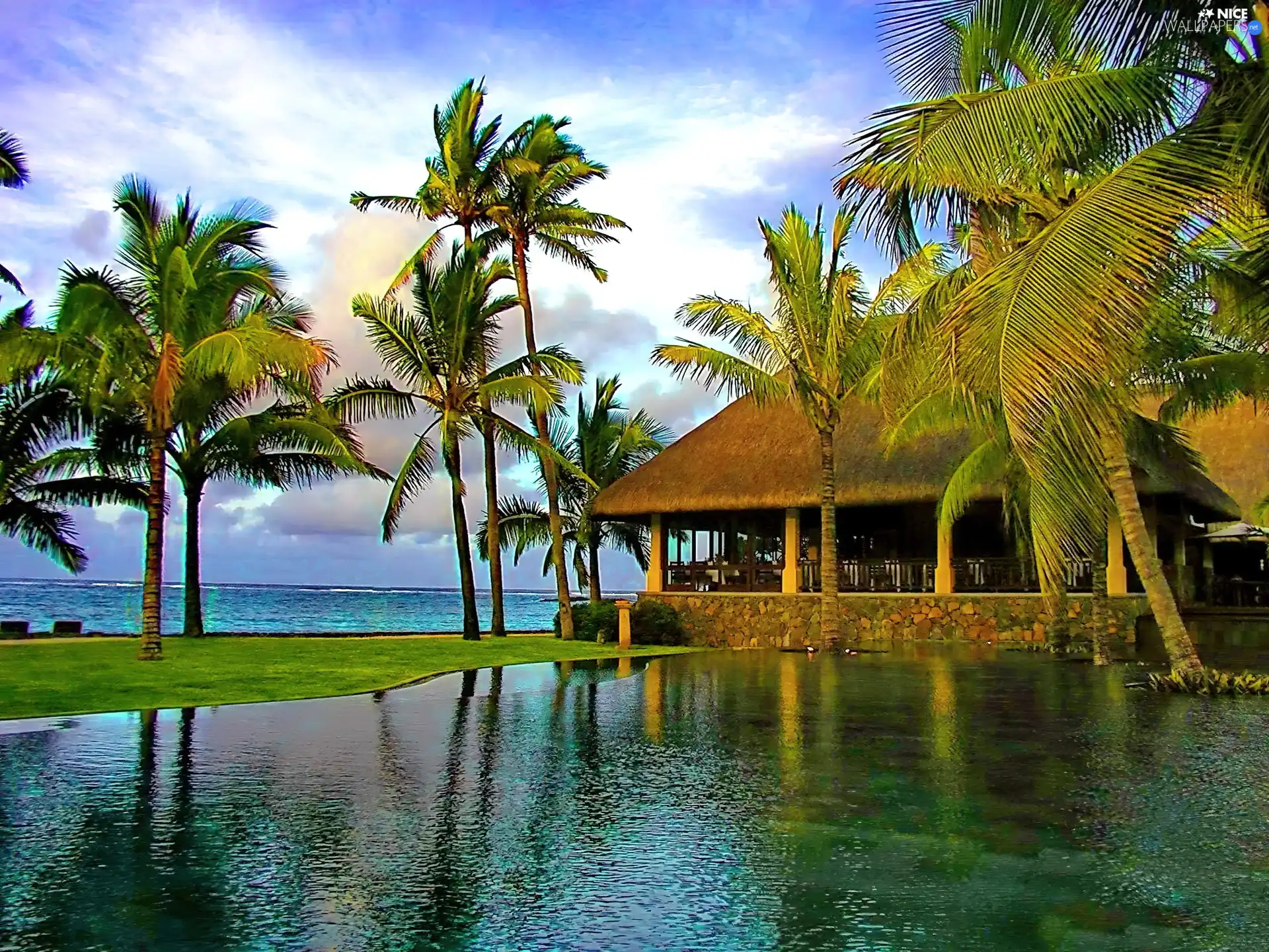 house, sea, Palms