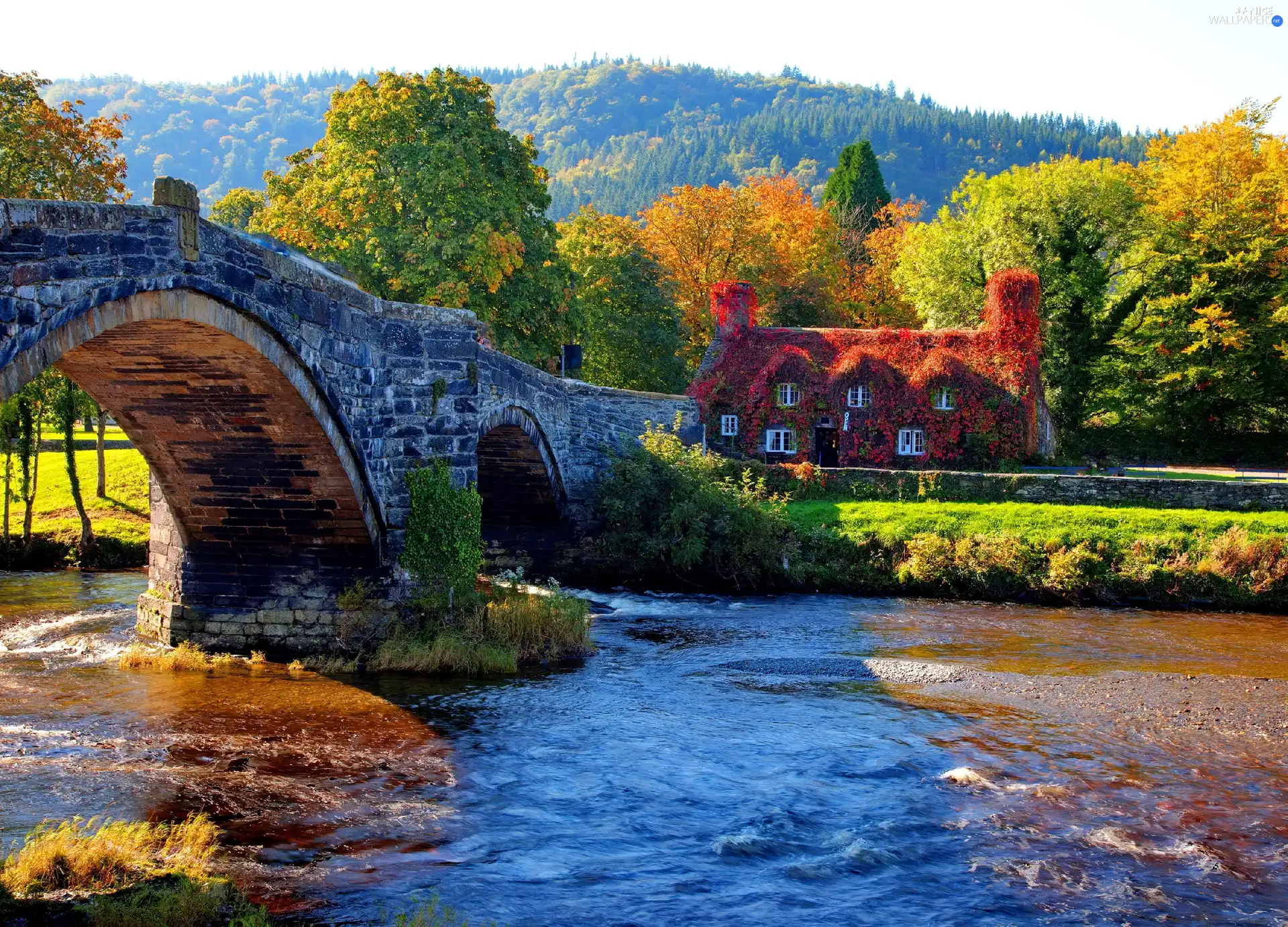 house, bridge, River