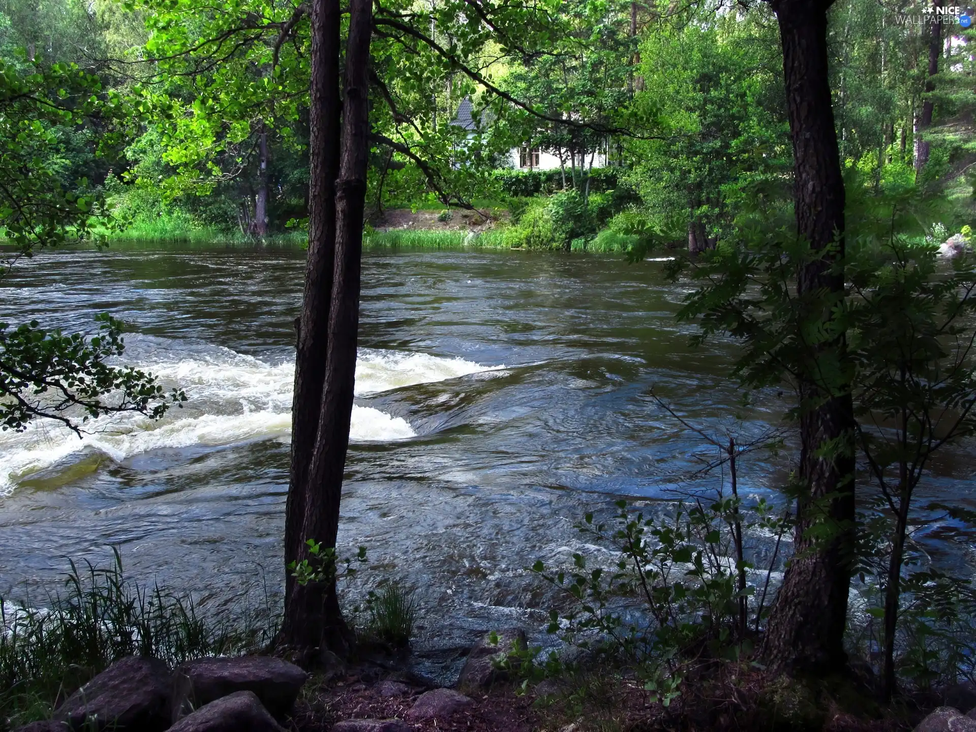 River, viewes, house, trees