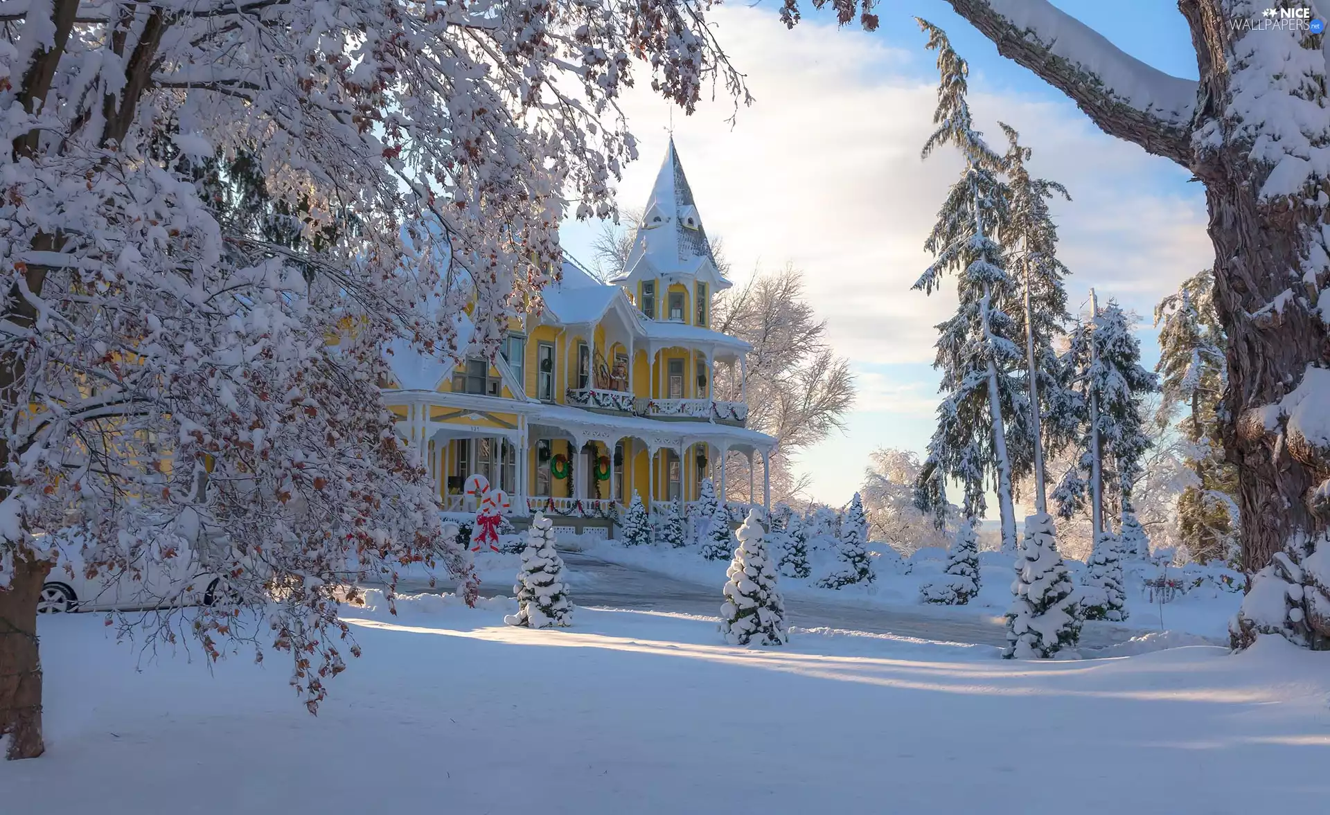 viewes, house, snow, trees, winter