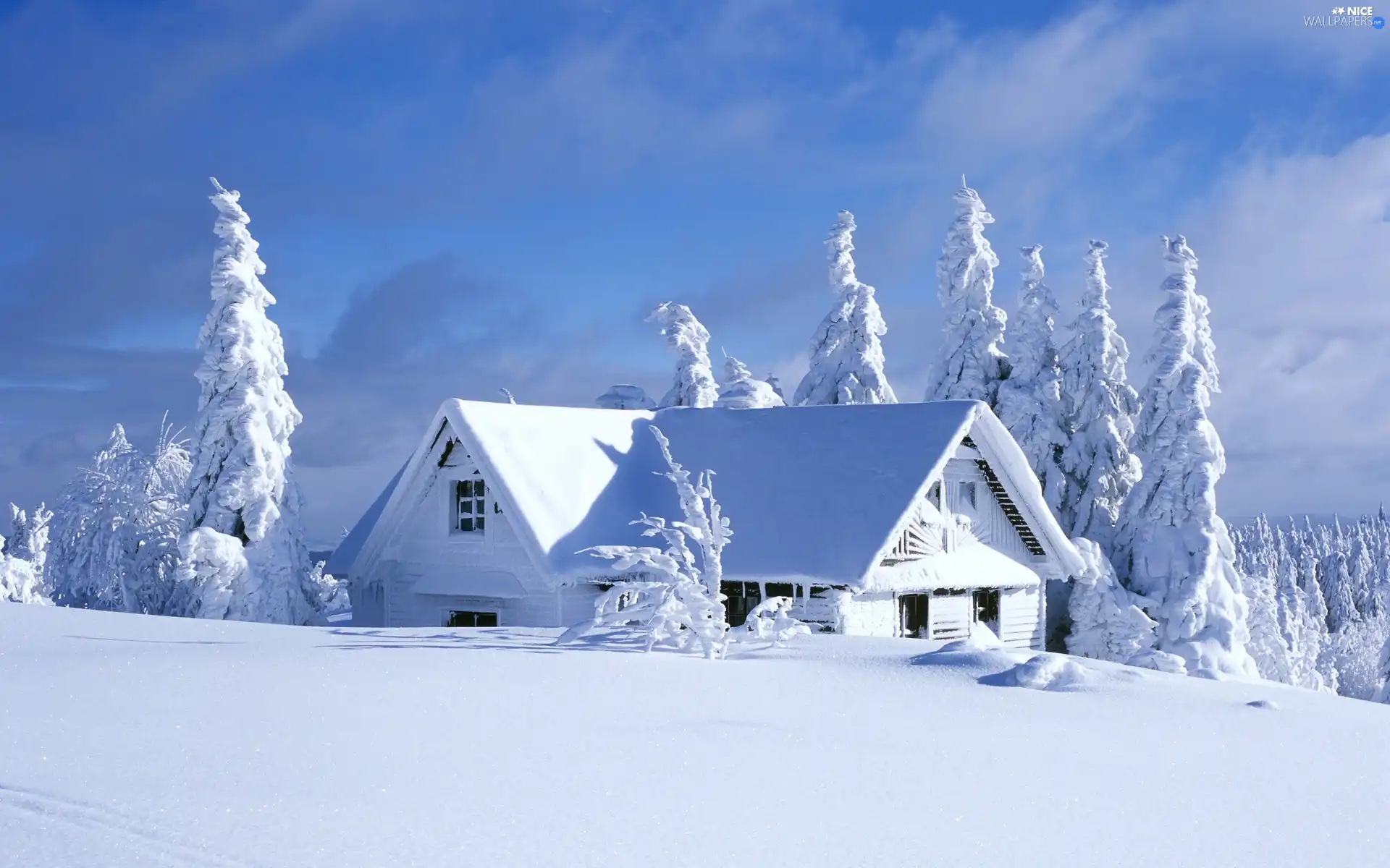 house, winter, snow