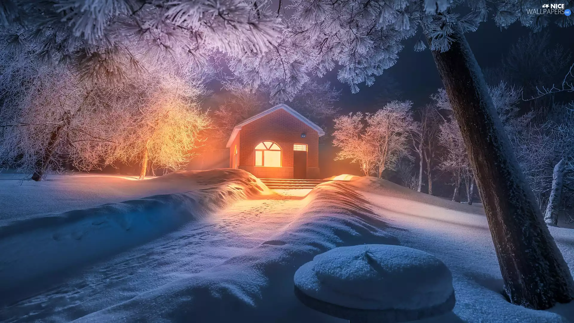 Path, Floodlit, trees, house, winter, Snowy, viewes