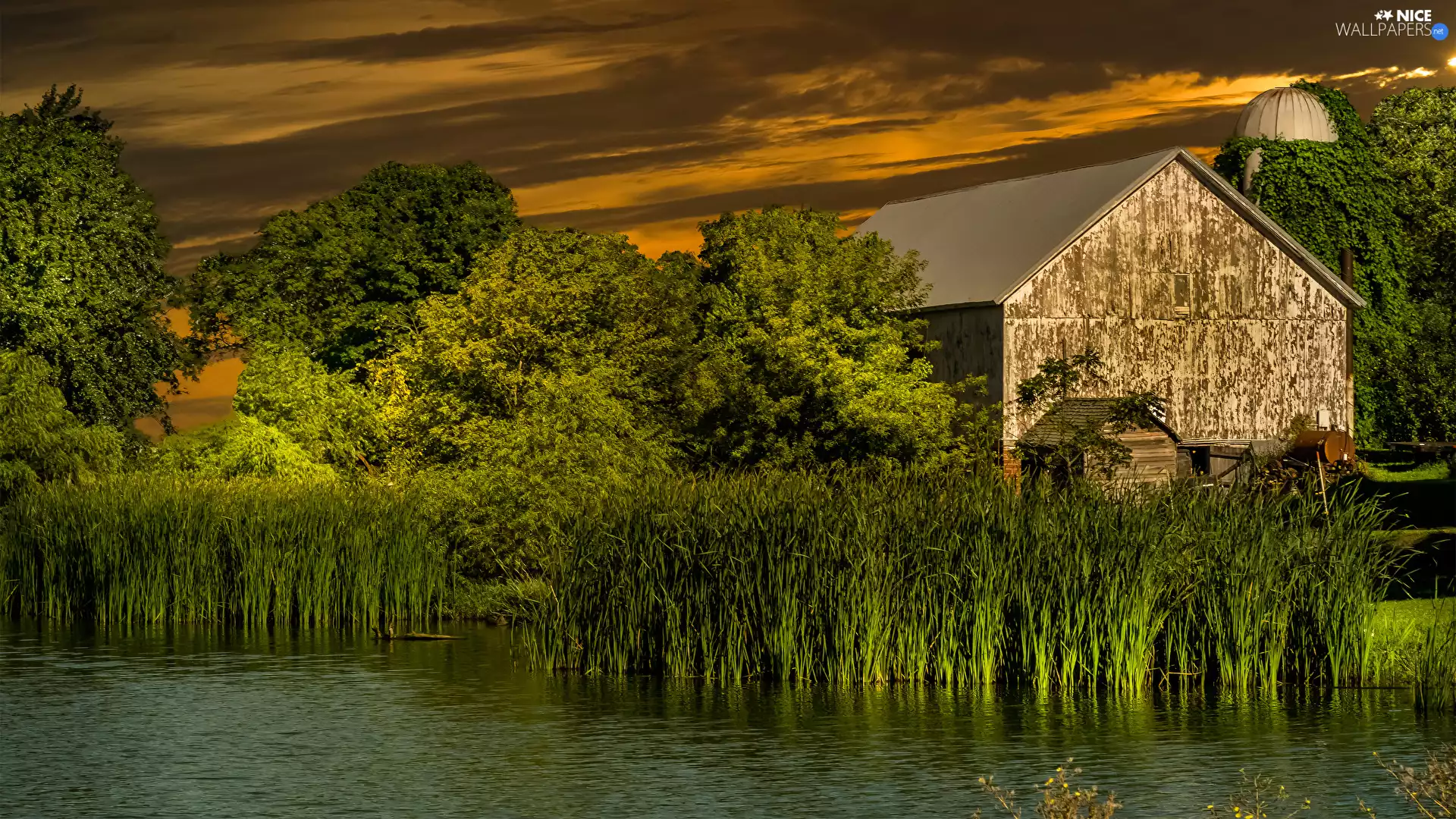 house, sweet flag, viewes, Great Sunsets, trees, Pond - car