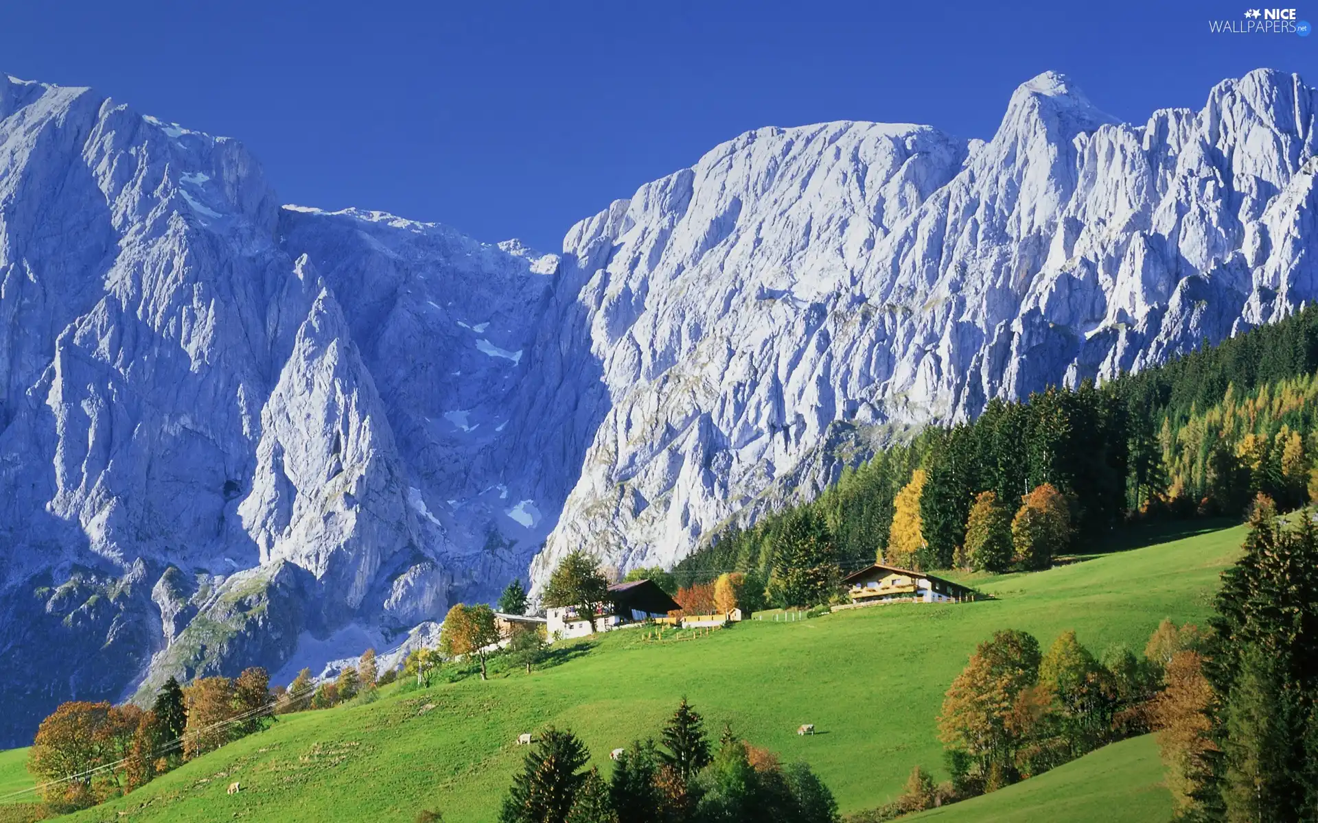 Mountains, forest, Houses, Meadow