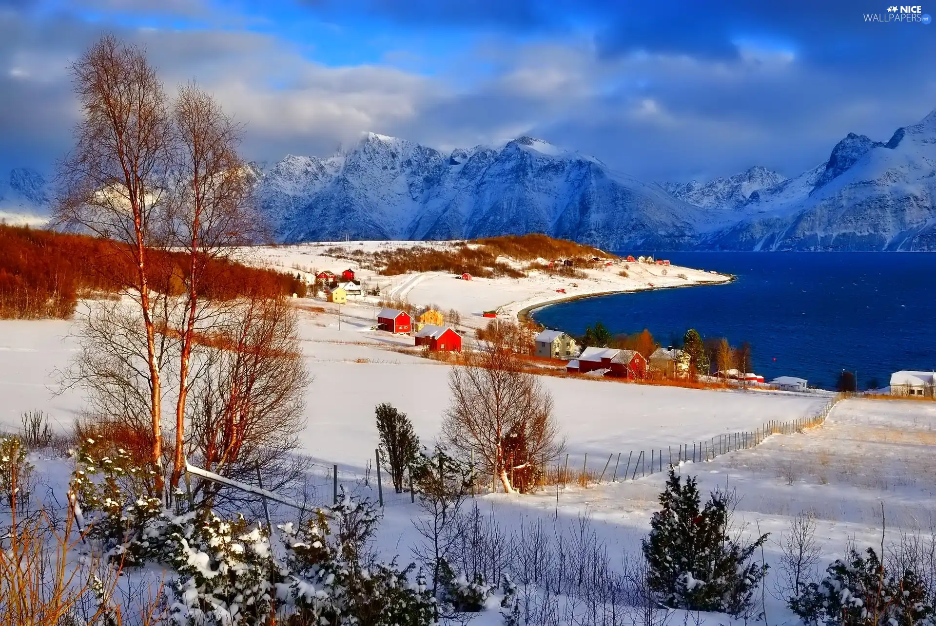 Houses, Norway, Mountains, Red, winter