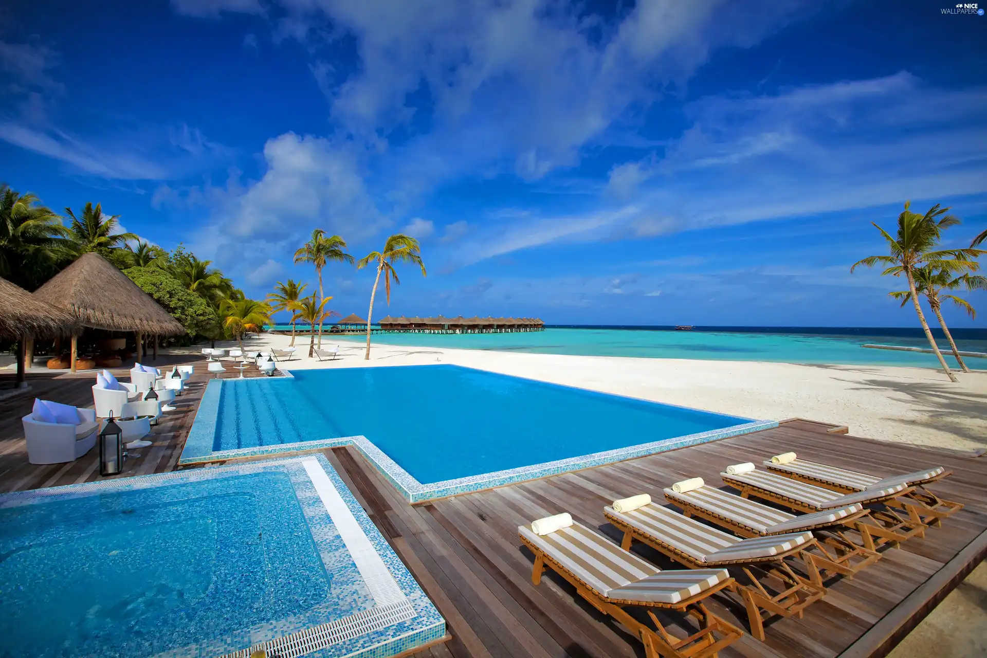 deck chair, Pool, Palms, holiday, Houses, sea