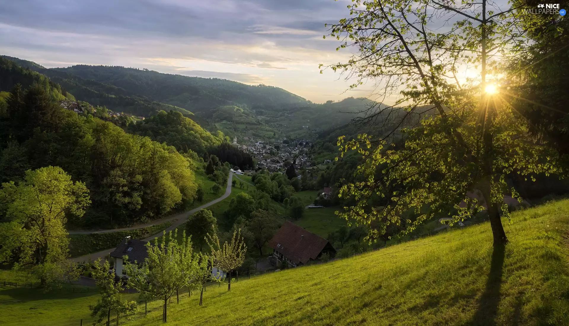 Valley, trees, Way, viewes, The Hills, Houses, rays of the Sun