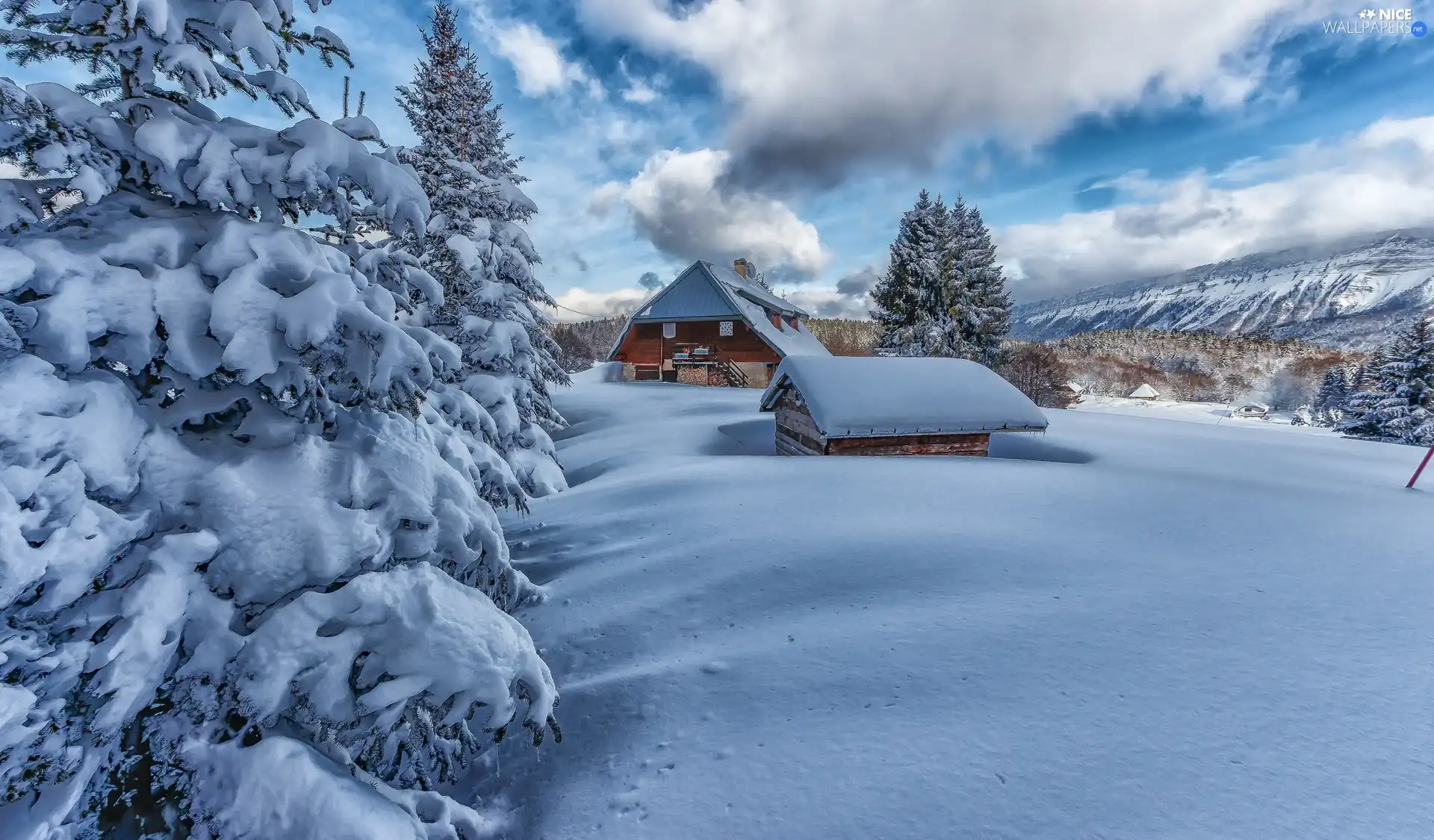 viewes, Houses, snow, trees, winter