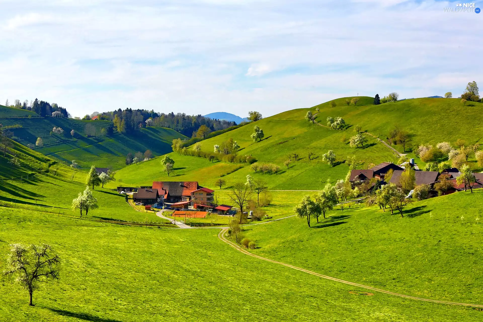 The Hills, Spring, Houses, country, Valley, medows