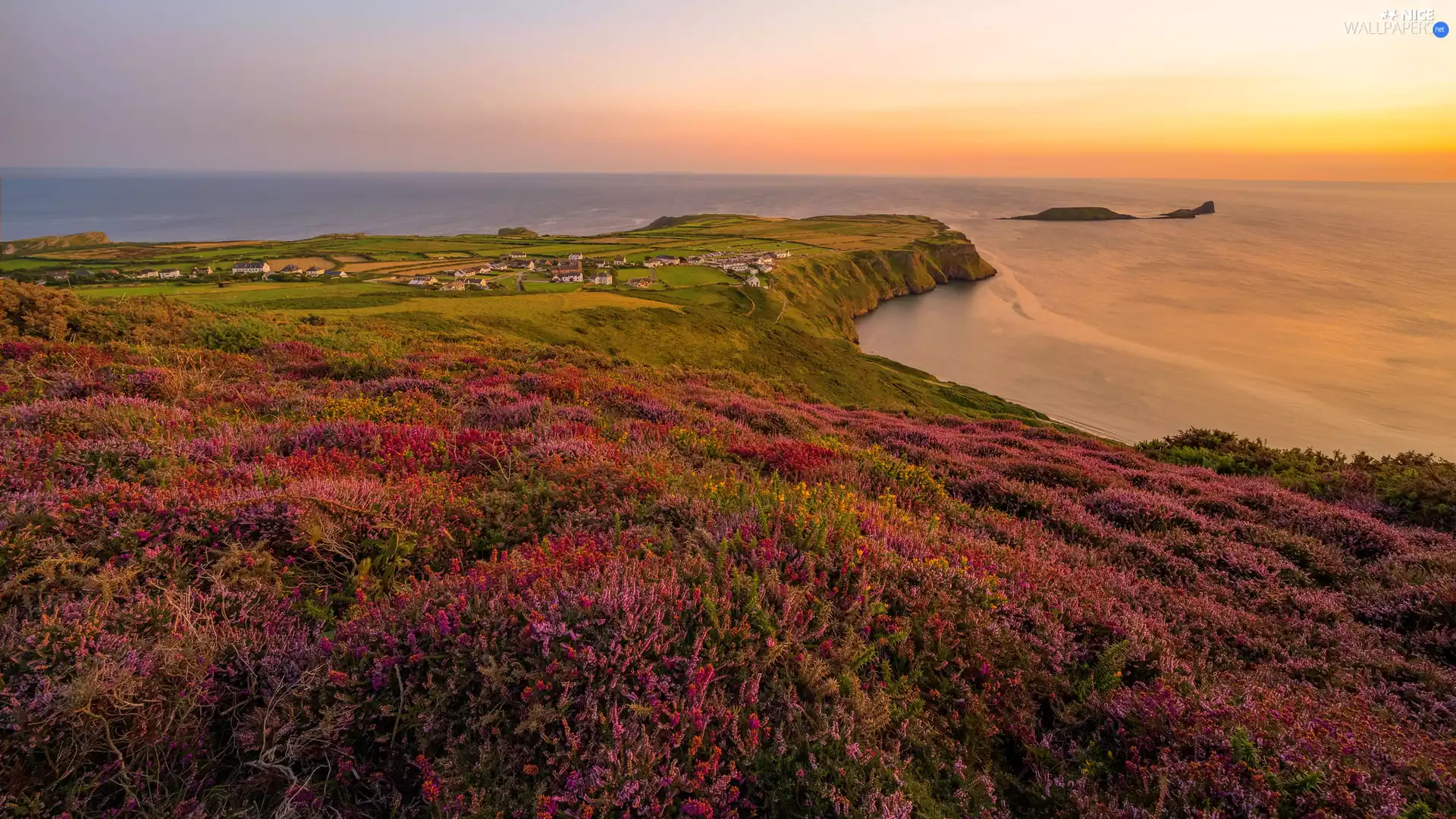 Coast, Great Sunsets, Houses, heath, colony, sea