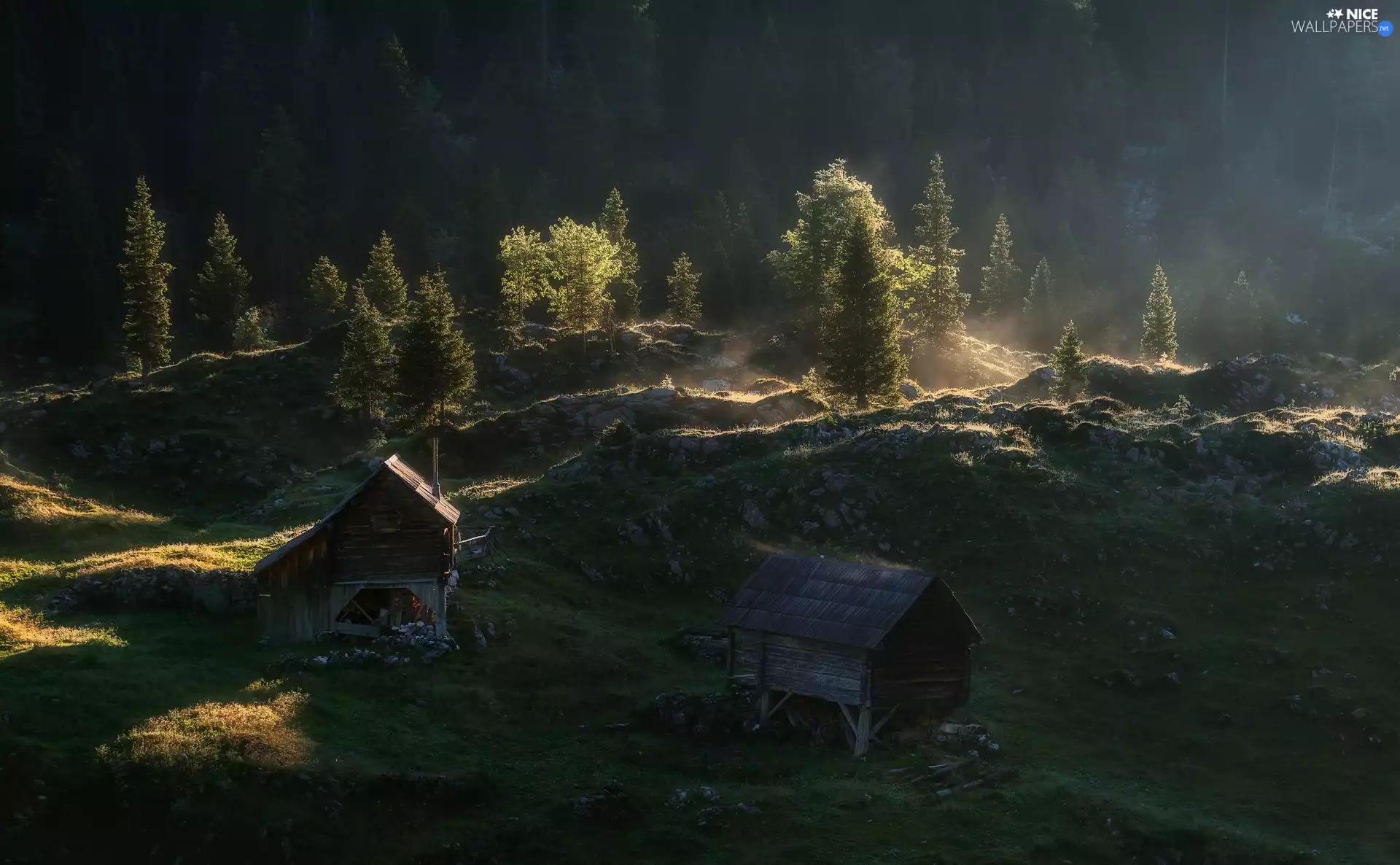 Sheds, wood, viewes, Houses, Hill, trees, morning