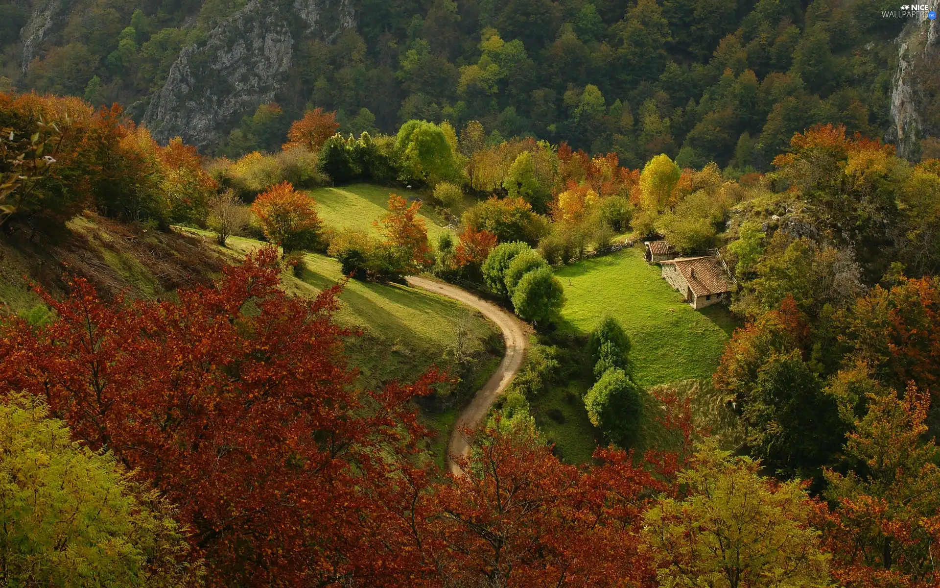 Houses, Way, viewes, The Hills, trees