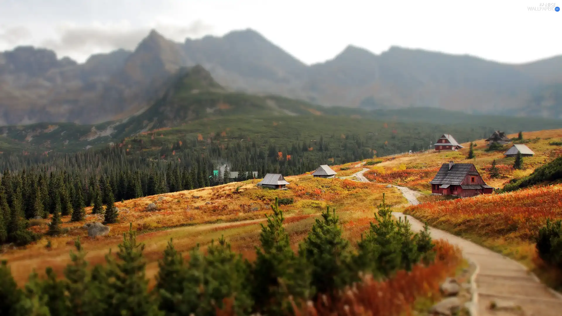 Houses, Mountains, Way