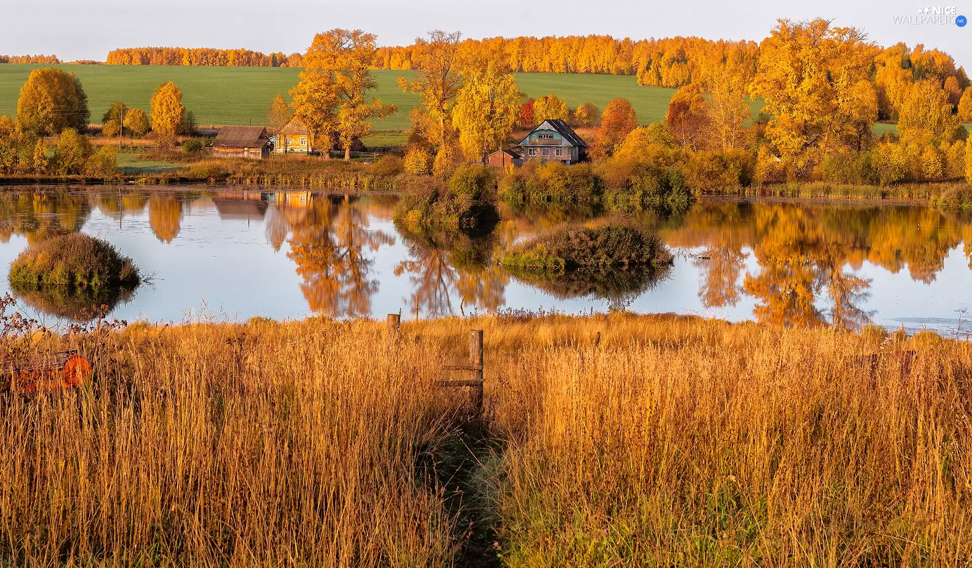 trees, River, Yellowed, Houses, autumn, viewes, grass