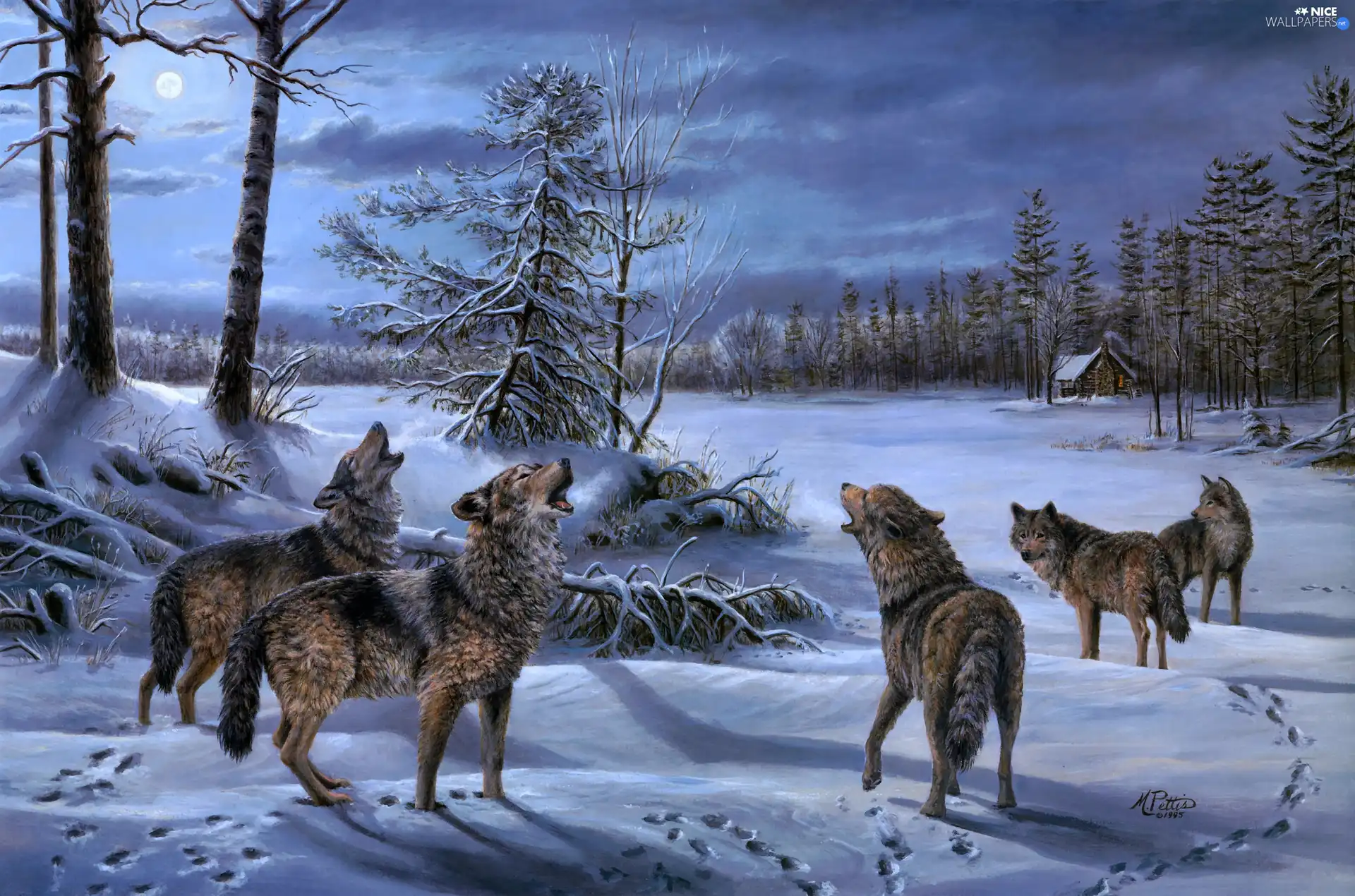 howl, Mary Pettis, wolves, winter, Wataha