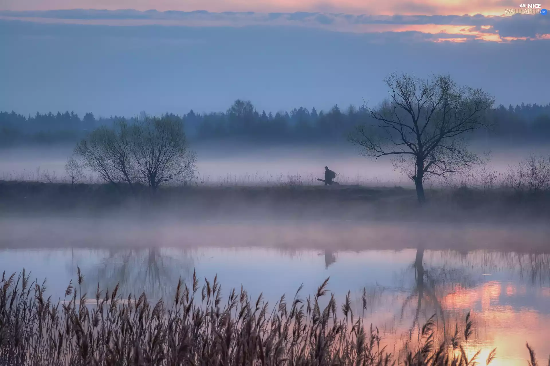 grass, River, viewes, Human, trees, Fog