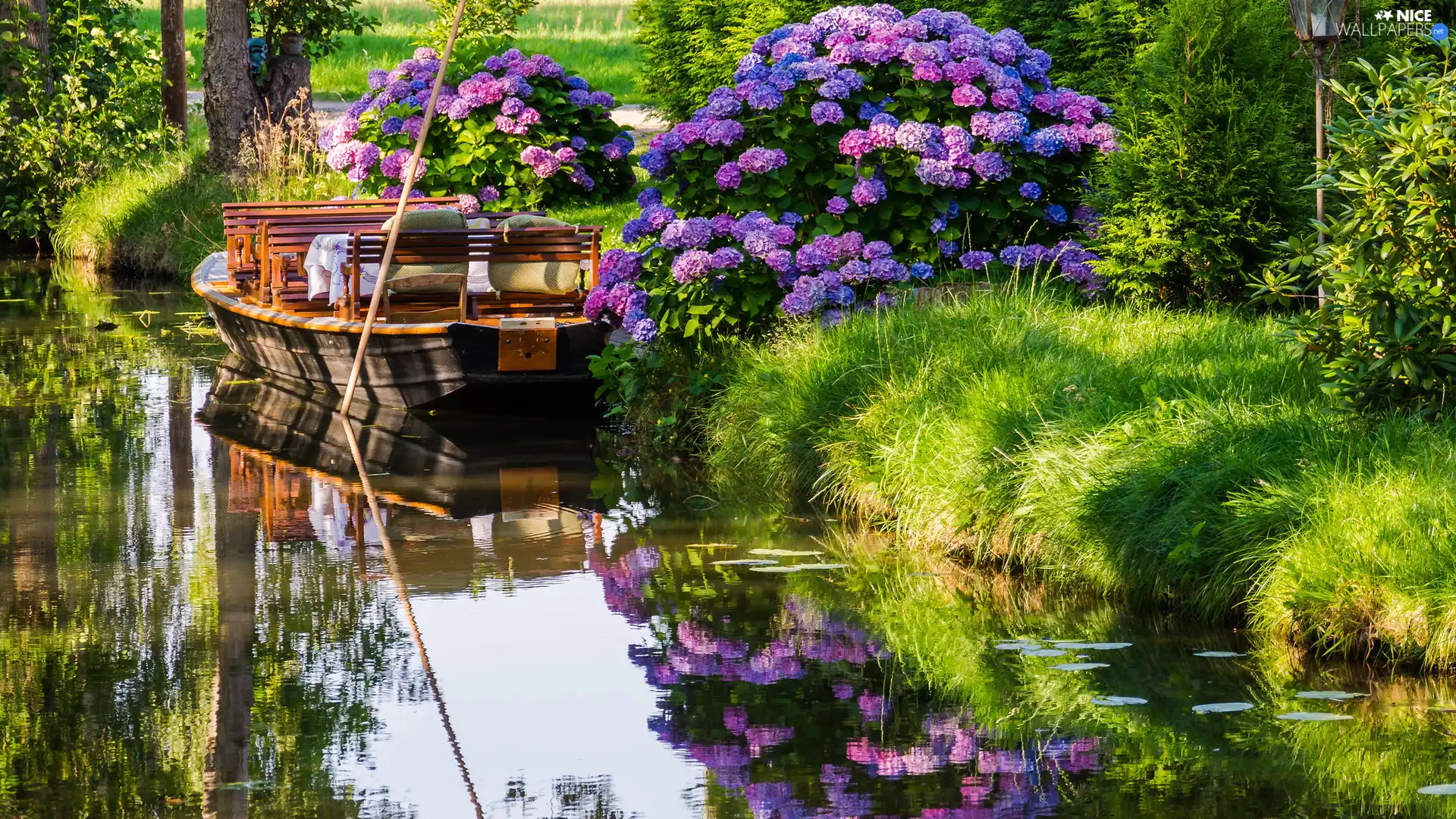 Flowers, River, Boat, hydrangea